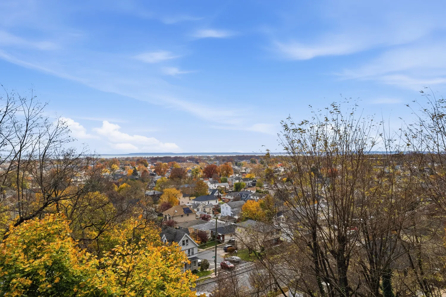 view of city and green space