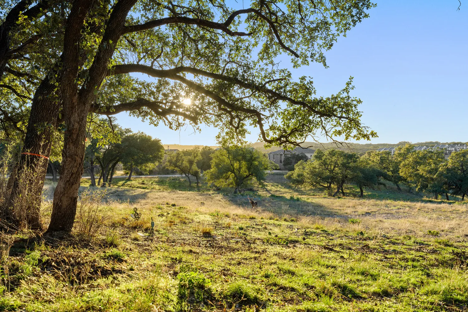 $15,995,000 | 1902 Patriot Drive, Lago Vista, TX 78645