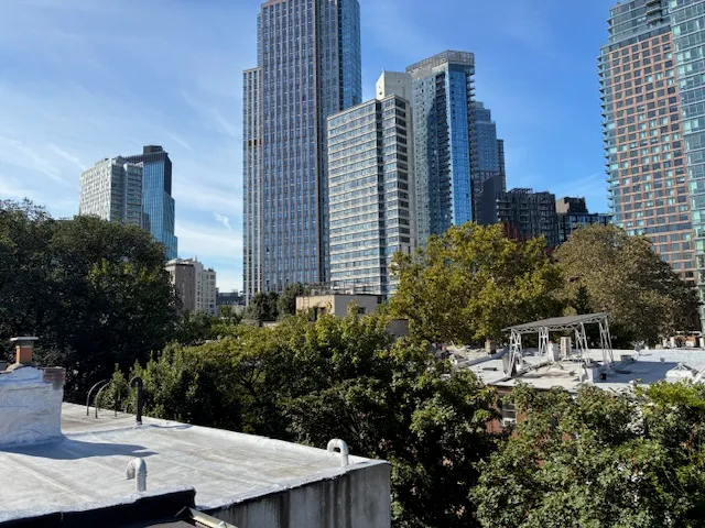 $3,650,000 | 10 Fort Greene Place | Fort Greene