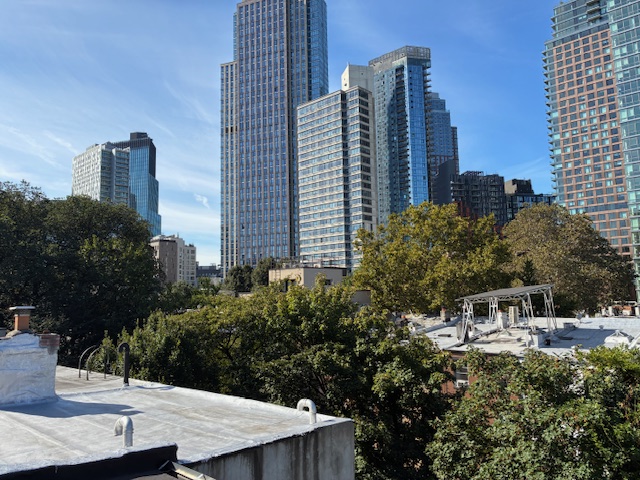 10 Fort Greene Place Brooklyn, NY 11217 - Photo 13 of 15 a view of buildings