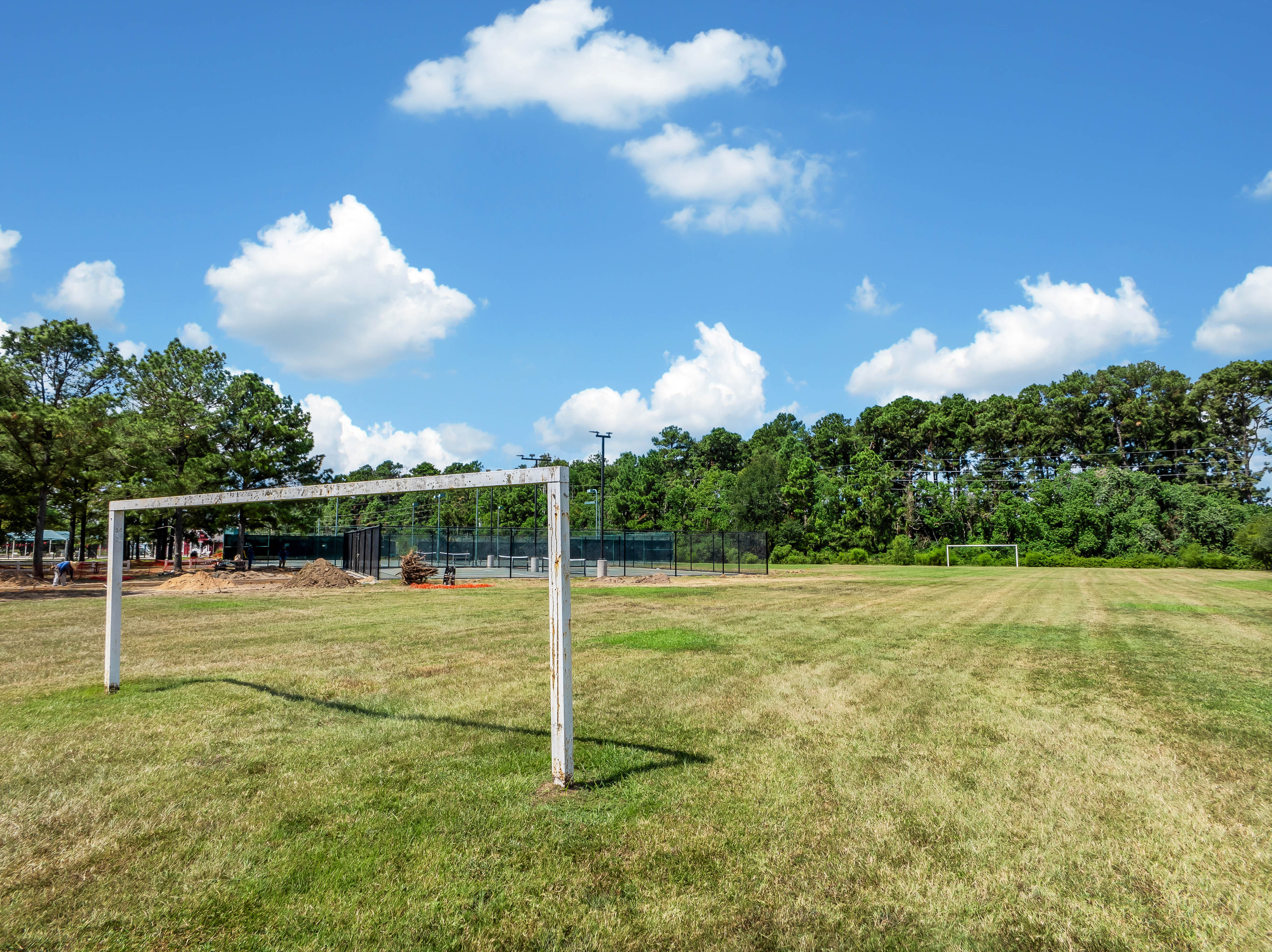 20730 Windrose Bend Drive Spring, TX 77379 - Photo 54 of 59