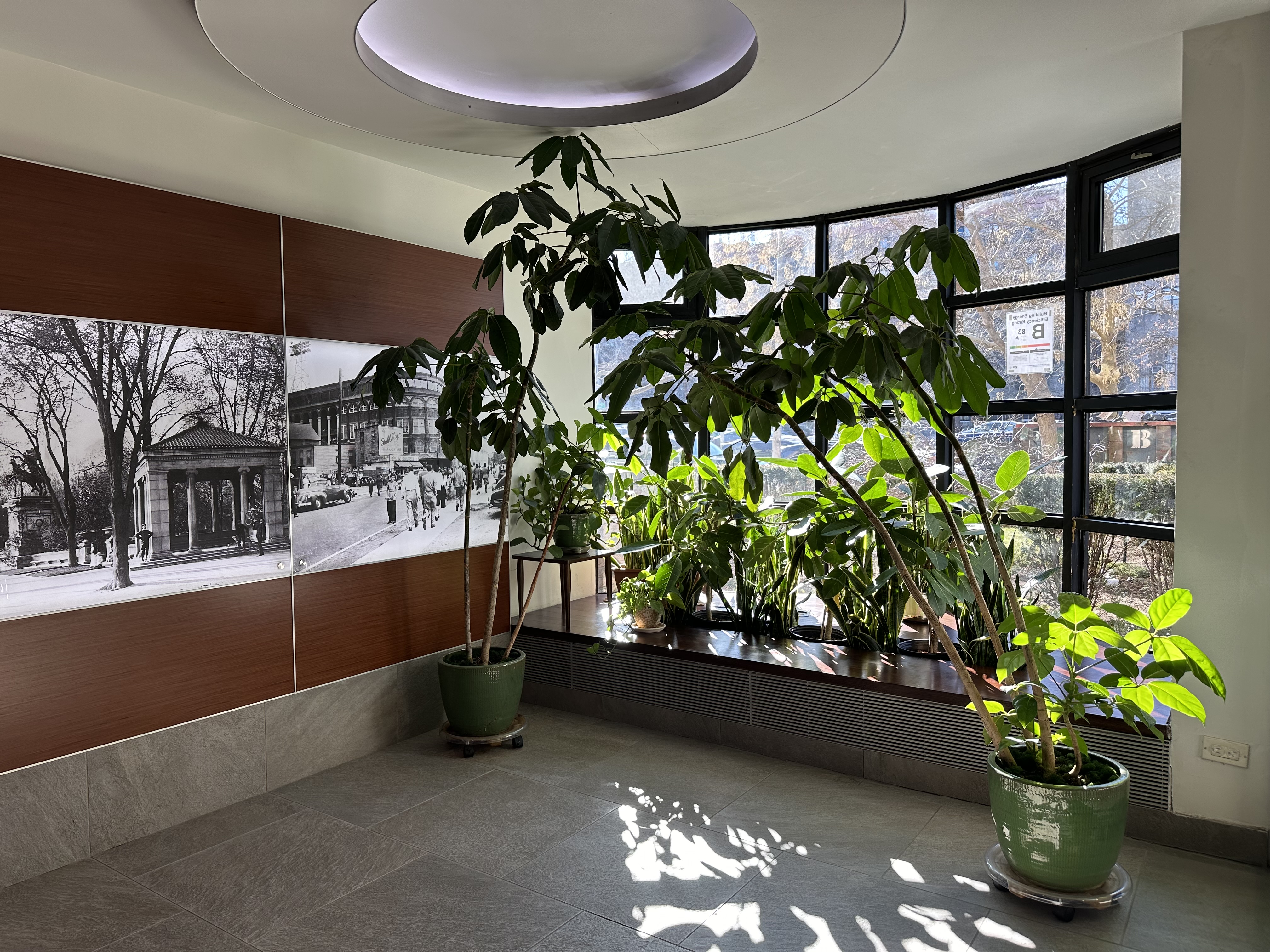 227 Ocean Parkway, Unit 1D Brooklyn, NY 11218 - Photo 9 of 13 Gallery Image 9