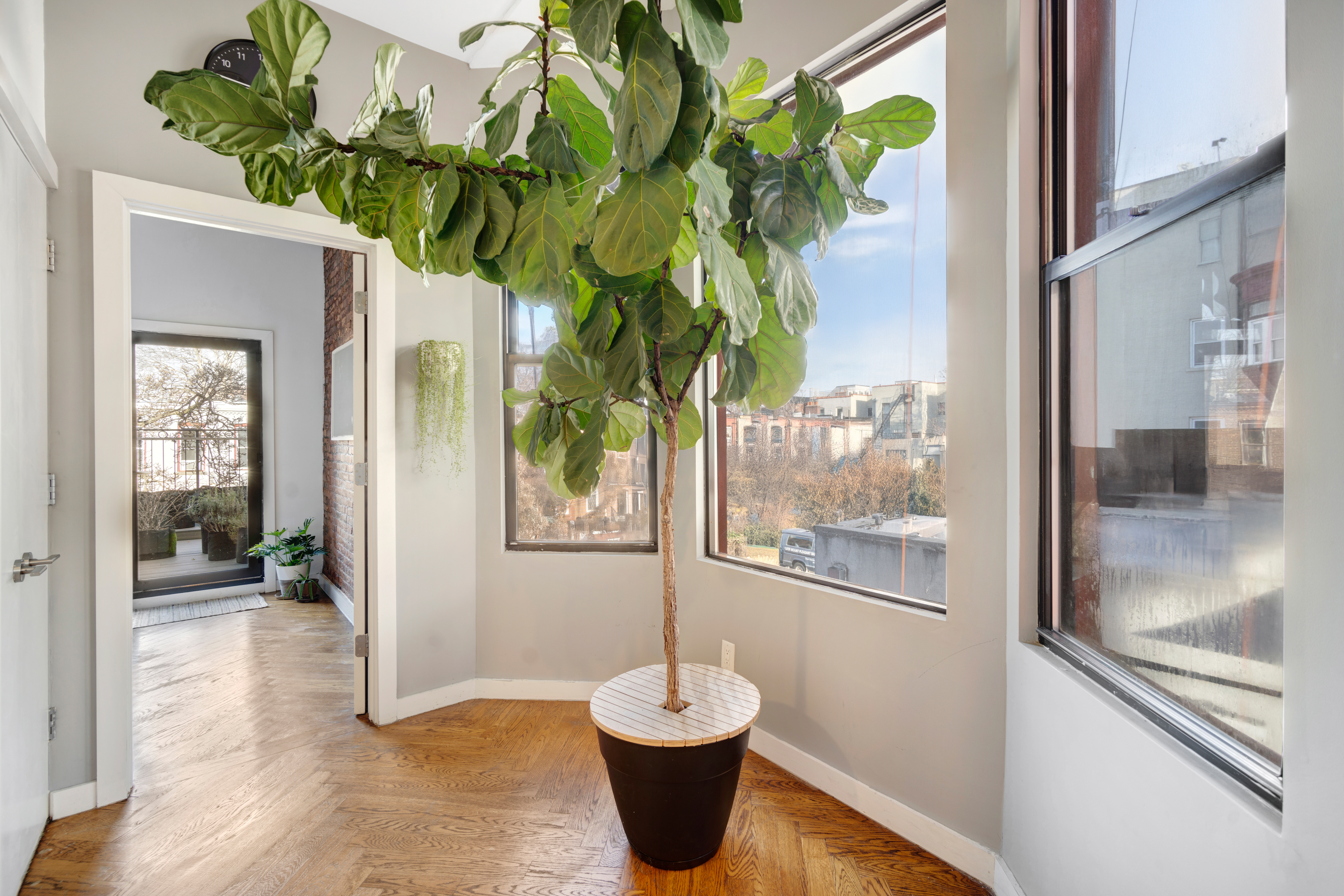 875 Saint Marks Avenue, Unit 2B Brooklyn, NY 11213 - Photo 4 of 10 a vase of flowers sitting on a table with a potted plant