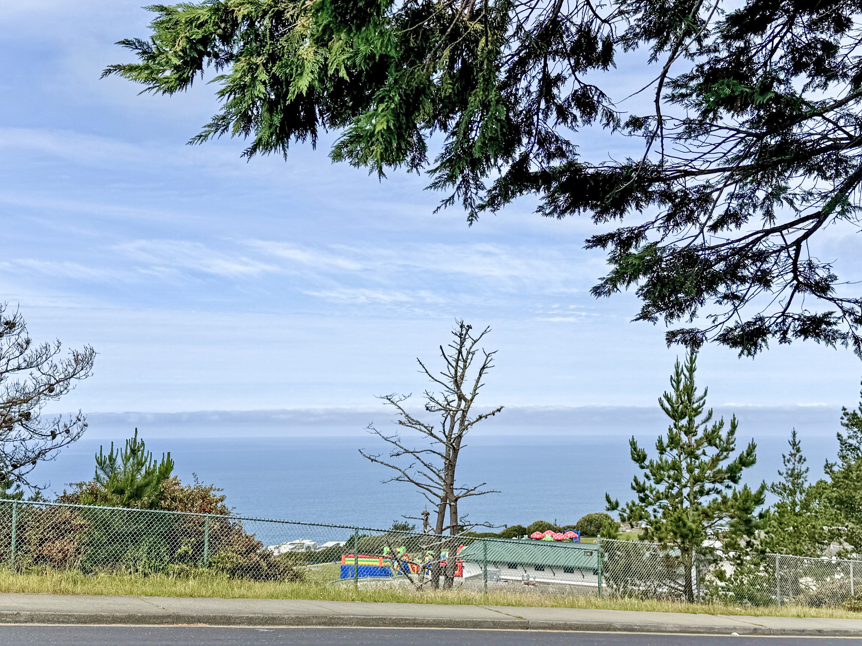 371 Inverness Drive Pacifica, CA 94044 - Photo 2 of 15 a view of a yard with plants and trees