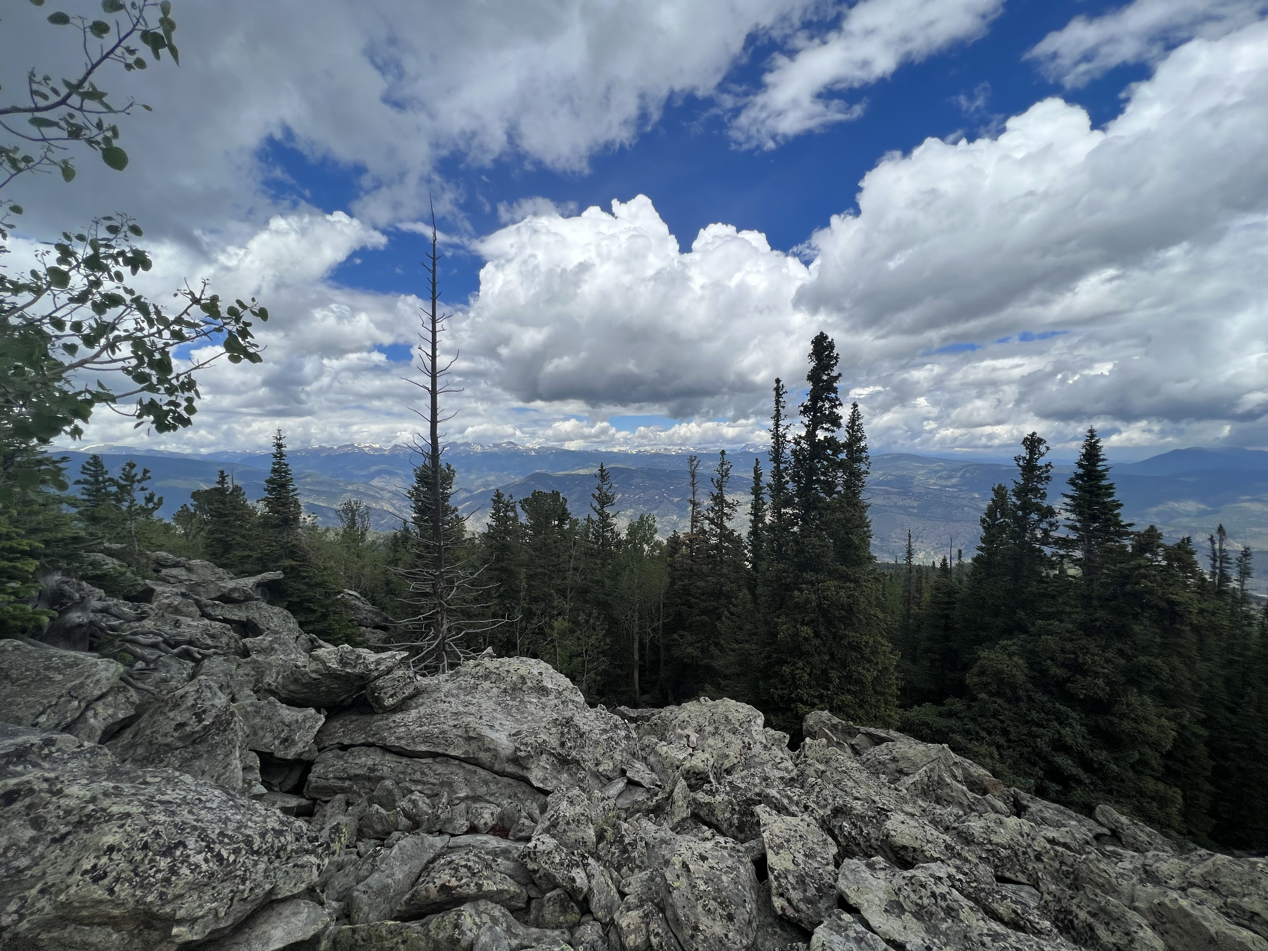 0 South Hidden Wilderness Road Idaho Springs, CO 80452 - Photo 4 of 20