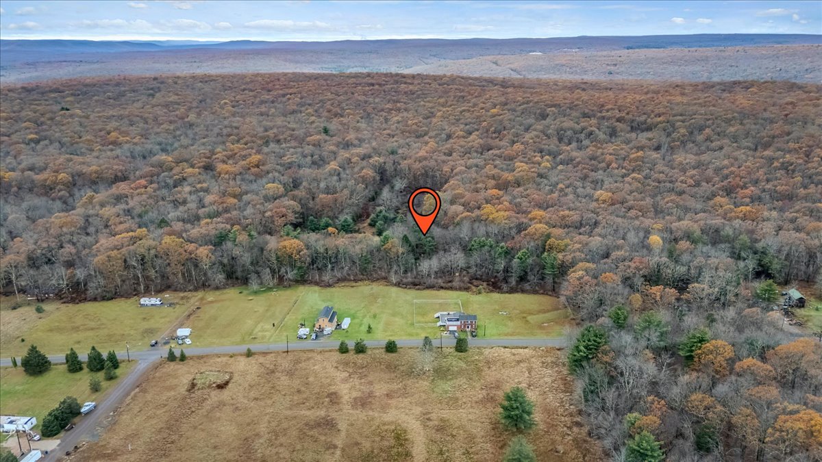 0 Laurel Road White Haven, PA 18661 - Photo 5 of 11