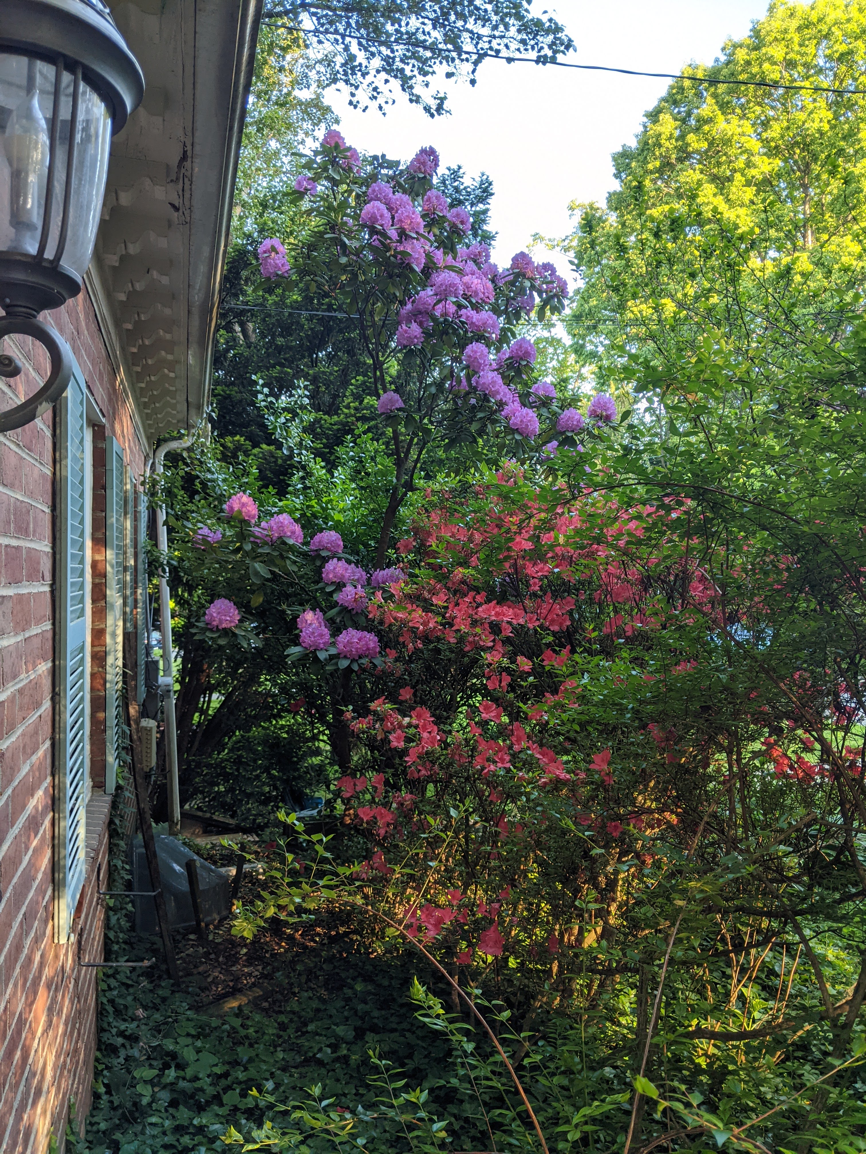 5606 Overlea Road Bethesda, MD 20816 - Photo 12 of 13