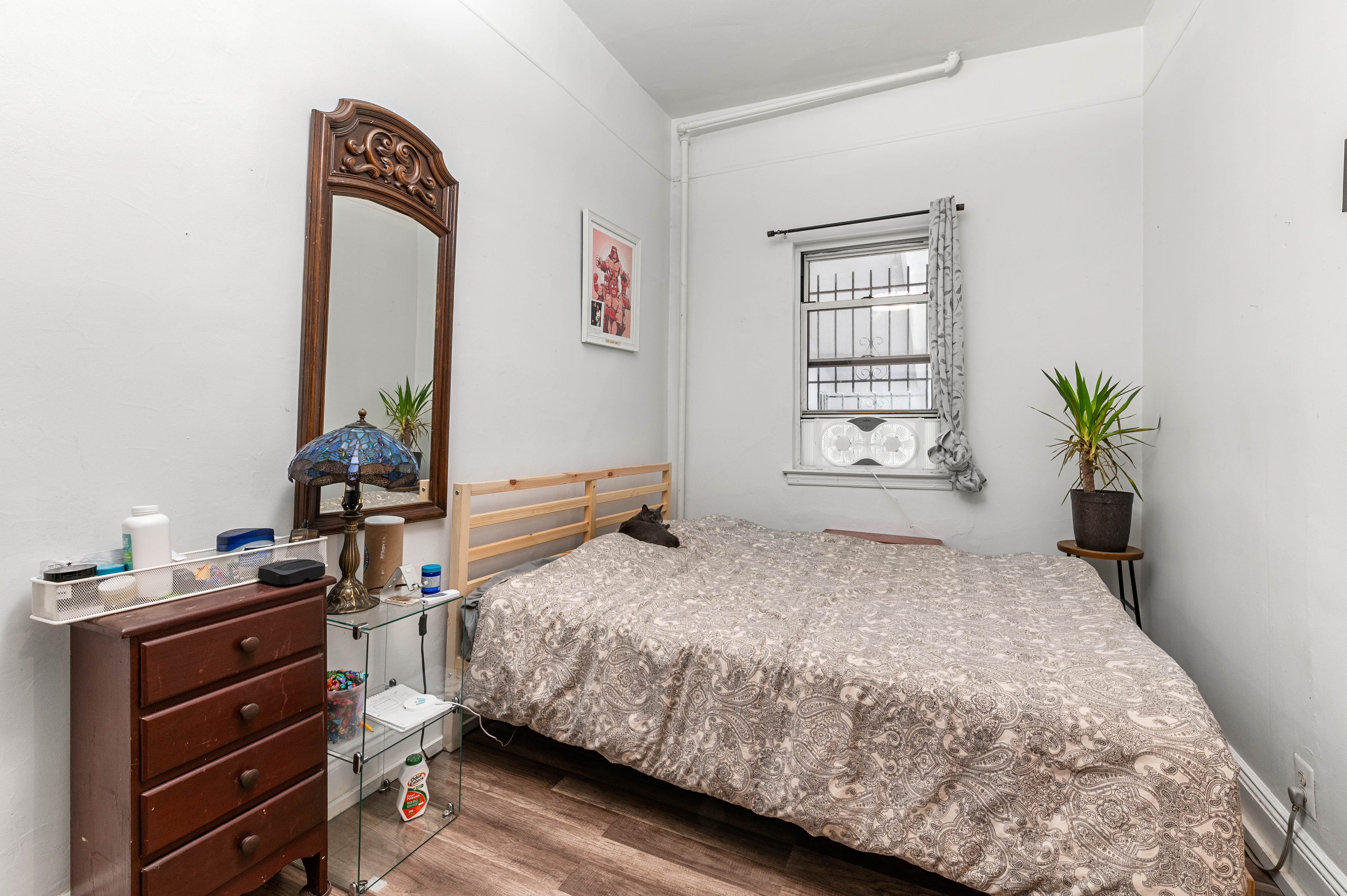 36-48 35th Street Queens, NY 11106 - Photo 4 of 15