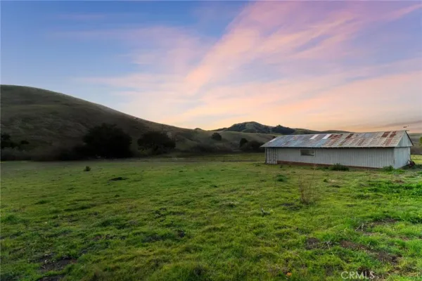 a view of a lush green field