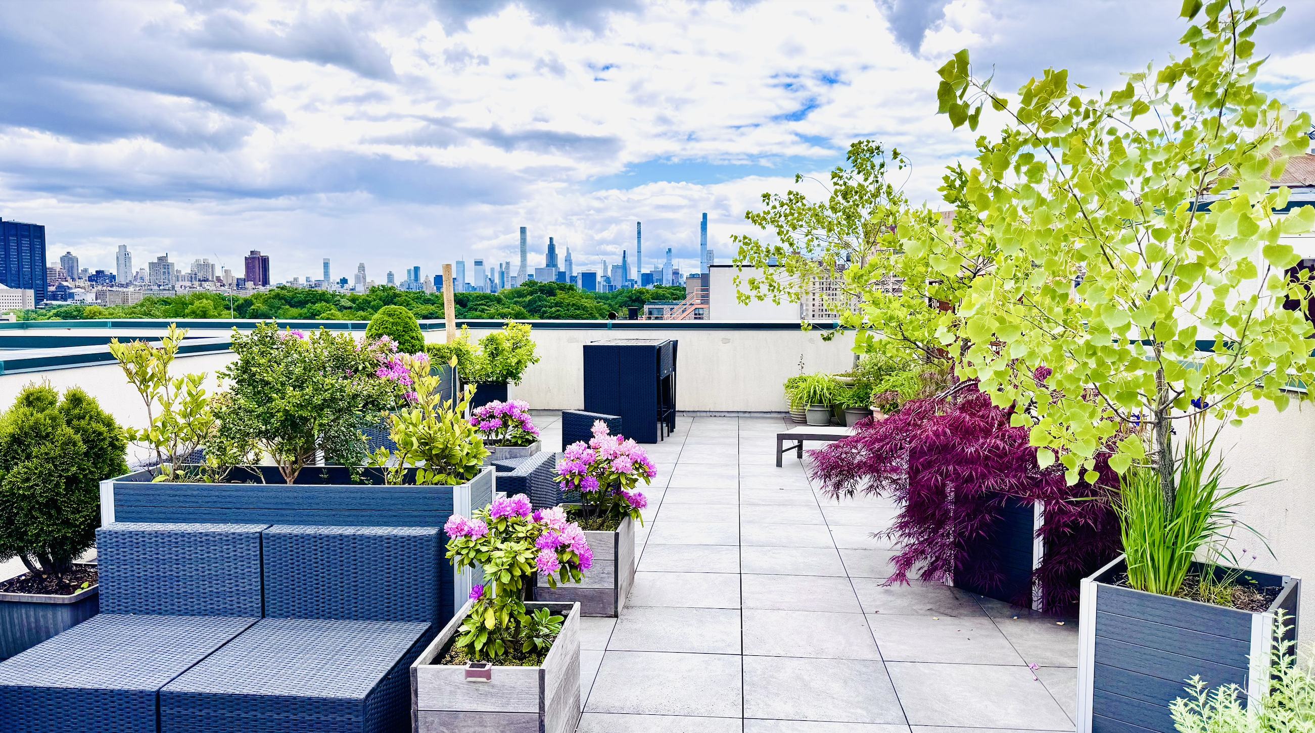 2098 Frederick Douglass Boulevard, Unit 7M Manhattan, NY 10026 - Photo 9 of 15 a view of a garden with flowers