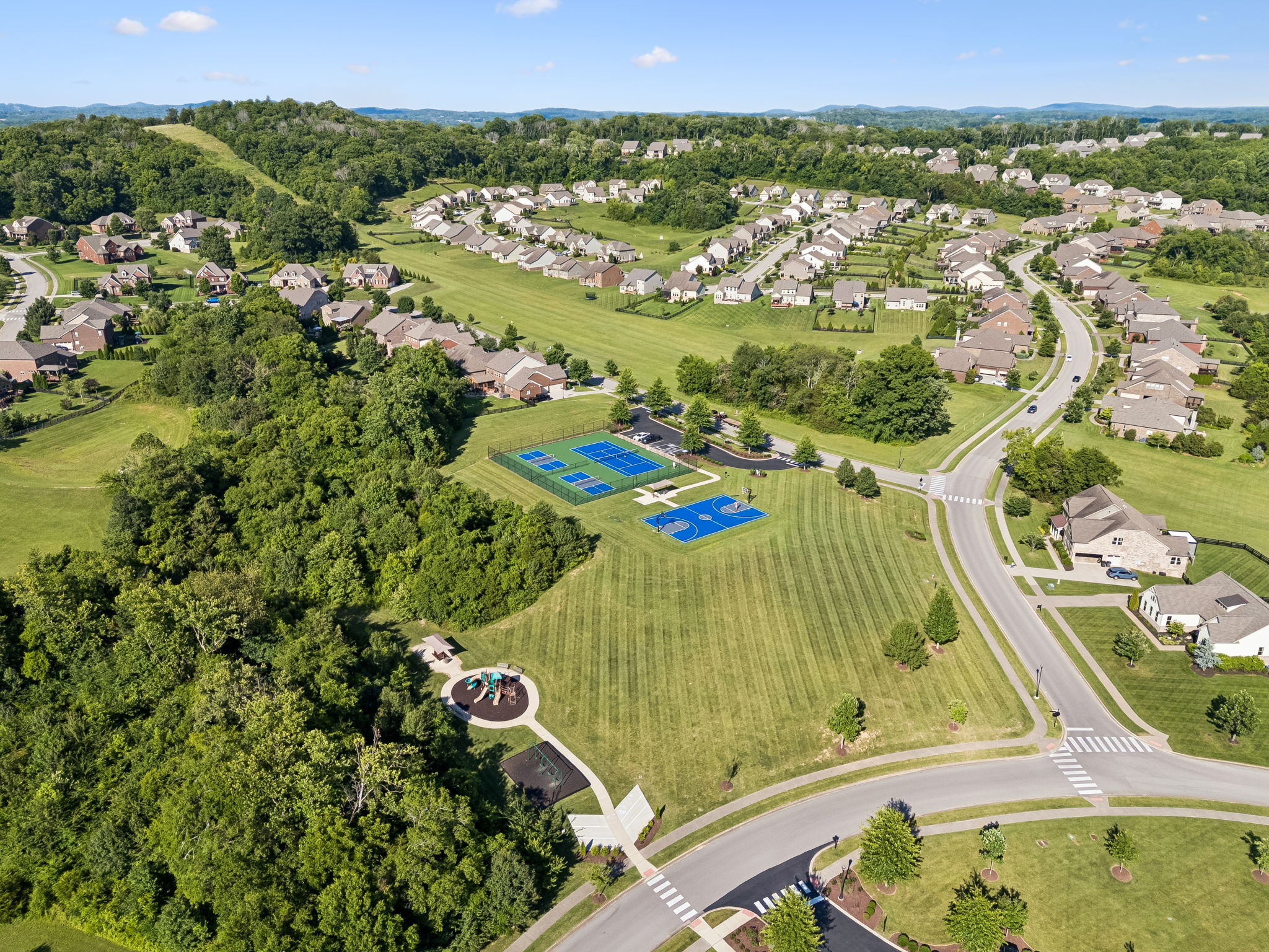 6732 Falls Ridge Lane College Grove, TN 37046 - Photo 59 of 87