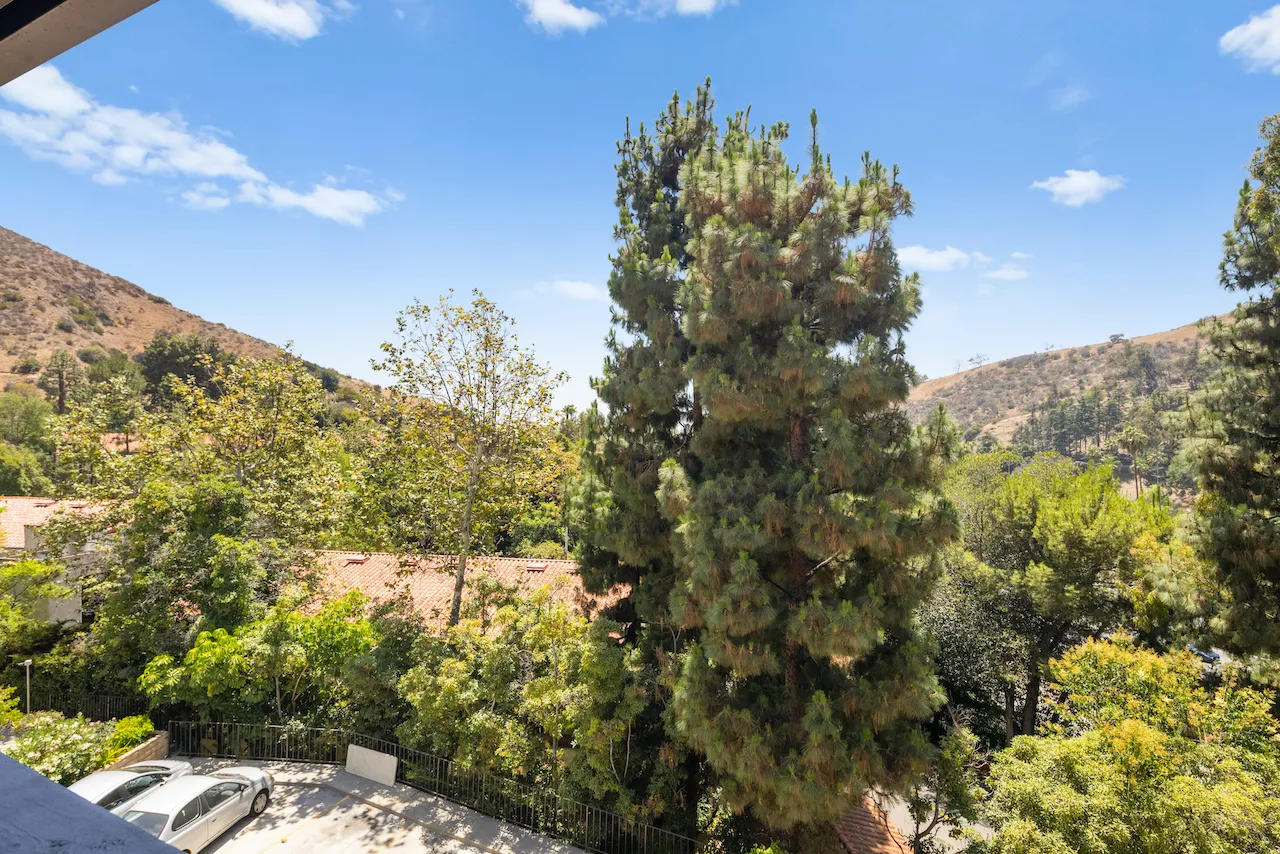 a view of a yard with a tree