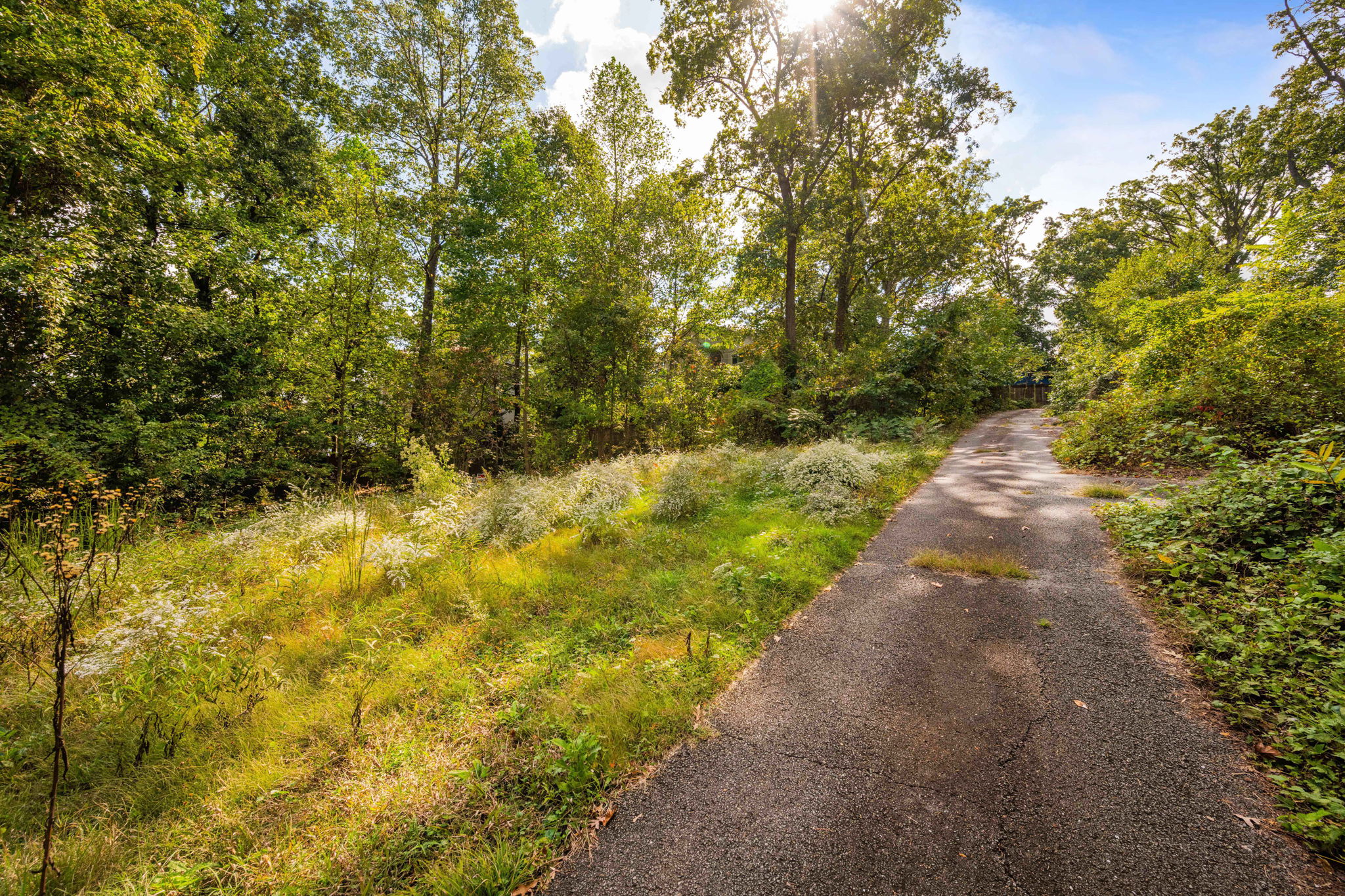 3104 Russell Road Alexandria, VA 22305 - Photo 39 of 62 a view of a pathway both side of yard