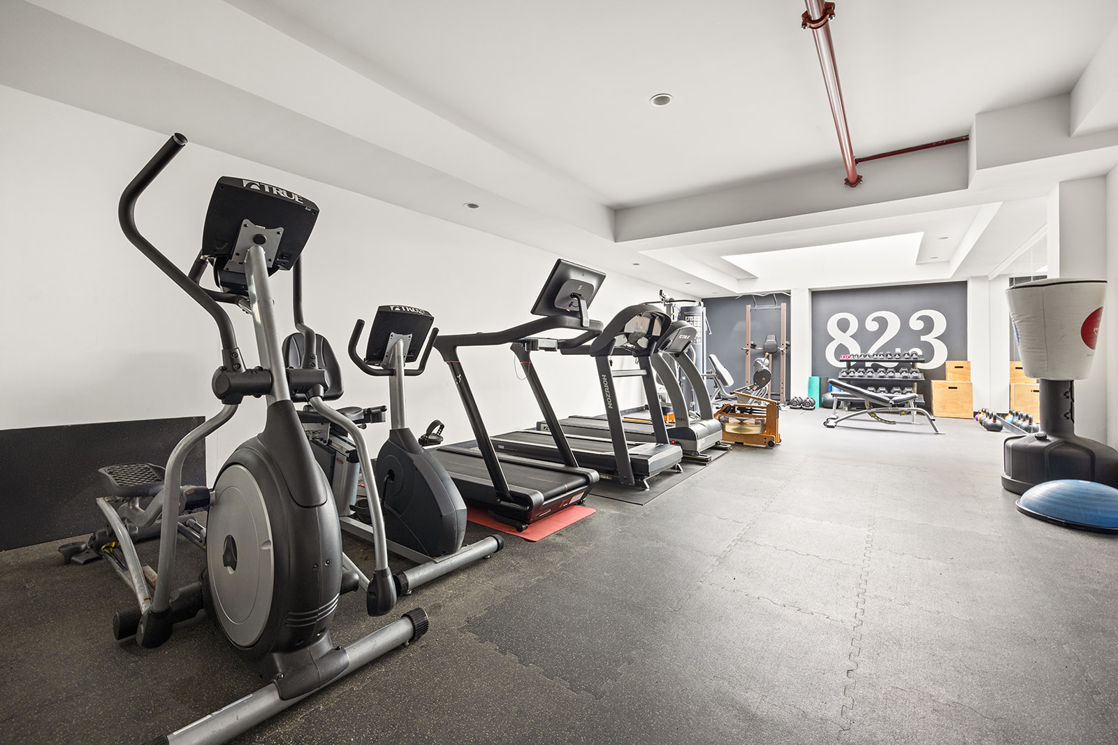 823 Classon Avenue, Unit 4B Brooklyn, NY 11238 - Photo 10 of 17 a view of a room with gym equipment