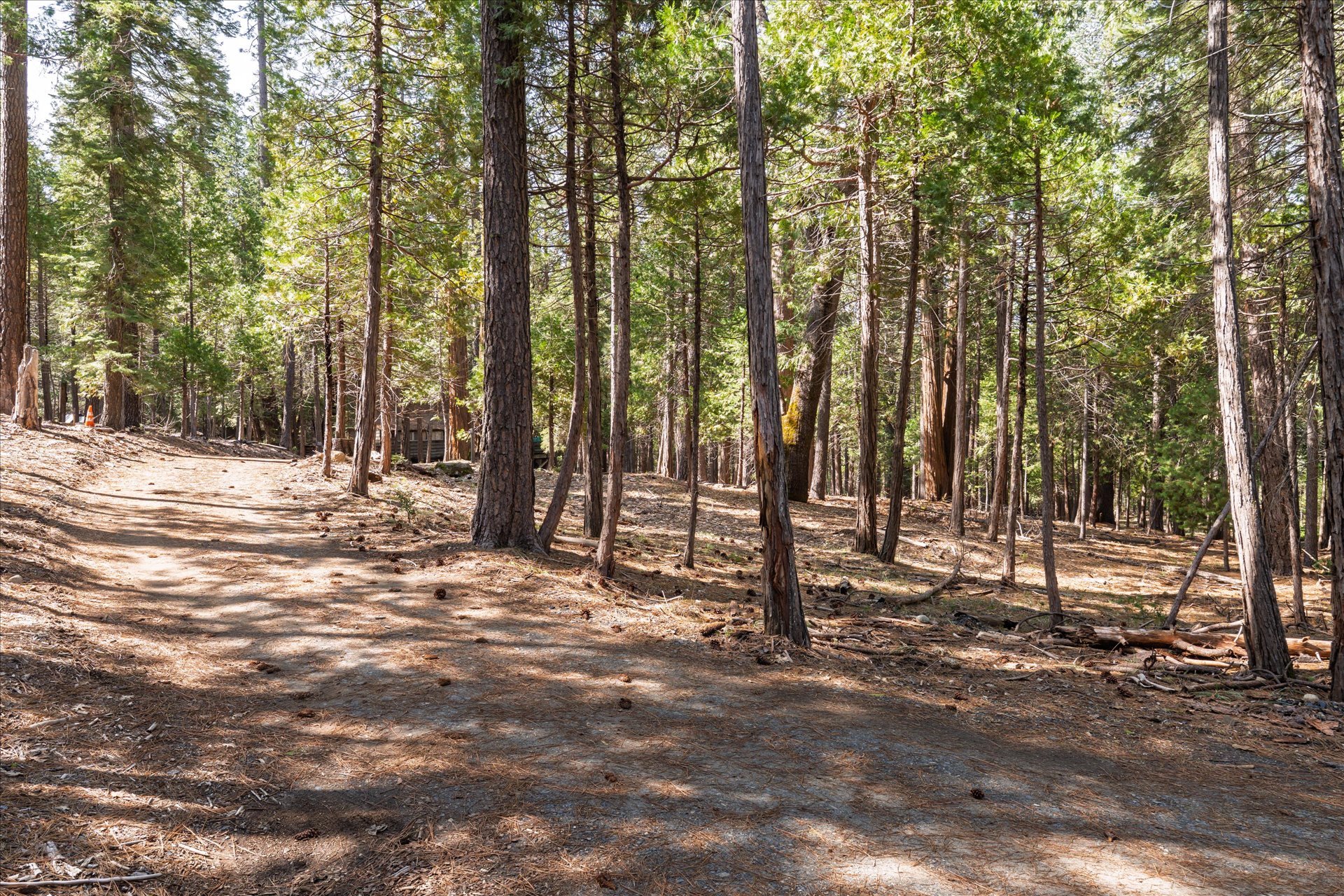 0 Koon Hollar Wawona, CA 95389 - Photo 3 of 31 a view of road with trees