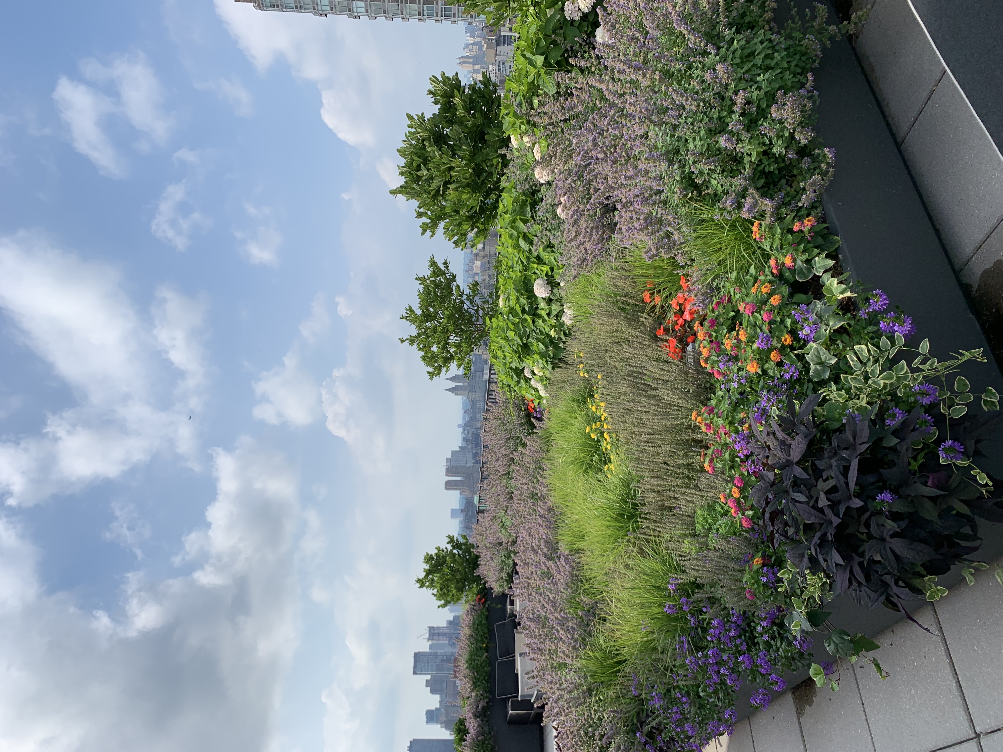 200 East 62nd Street, Unit 5A Manhattan, NY 10065 - Photo 18 of 25 a view of a garden with flowers