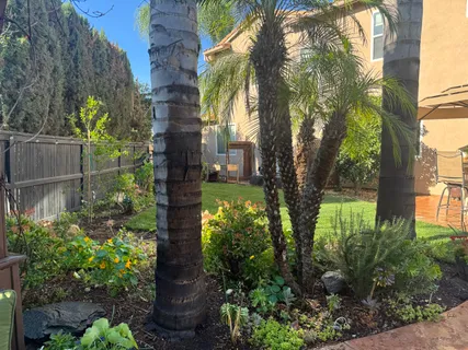 $899,999 | 36912 Silk Tree Court, Winchester, CA 92596