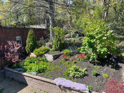 a view of a garden with flower plants