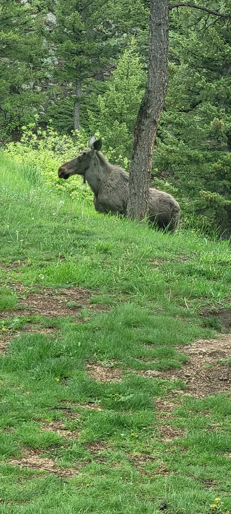 $2,100,000 | 323 Overlook Lane, Boulder, CO 80302