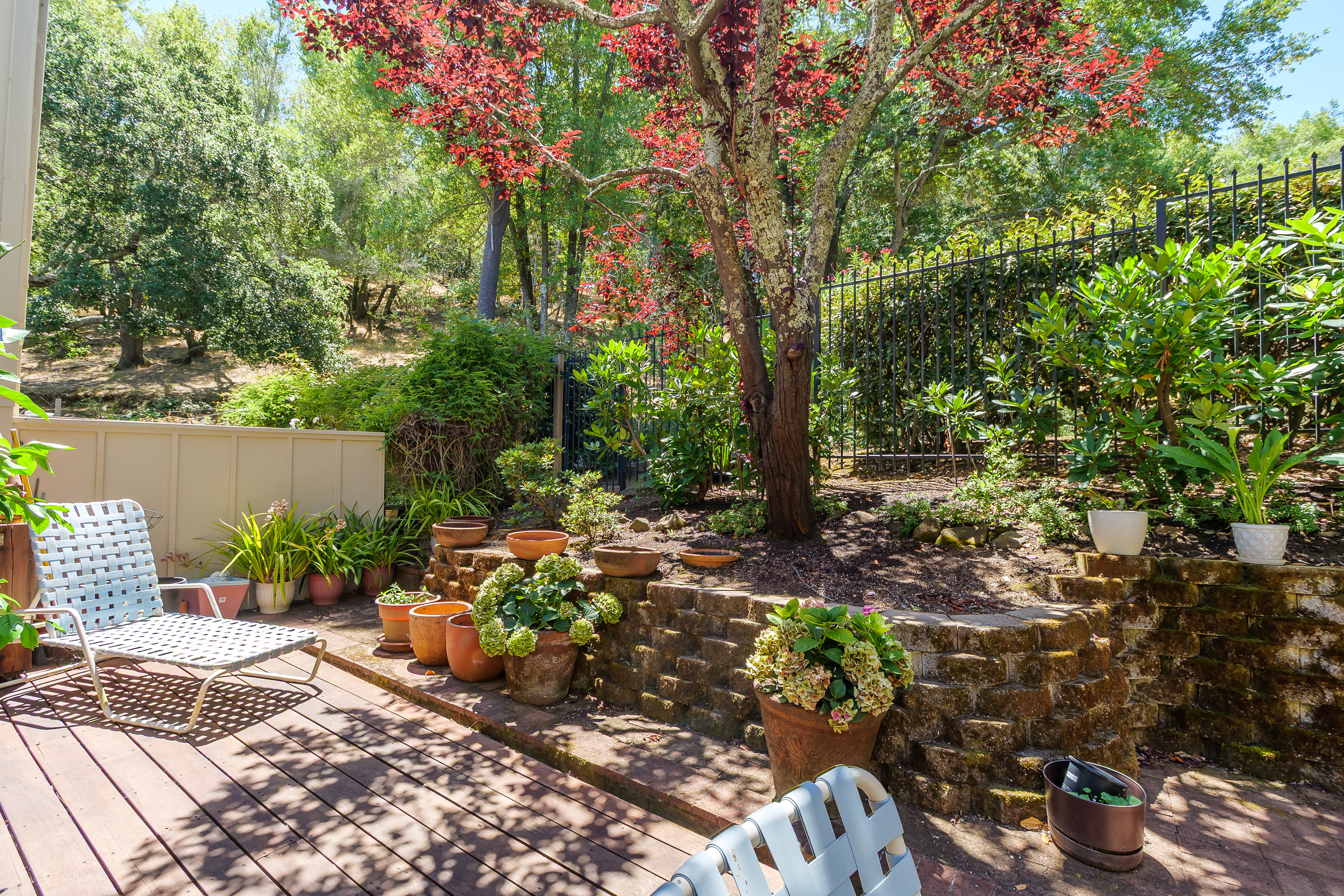 8 Elf Owl Court Novato, CA 94949 - Photo 39 of 50