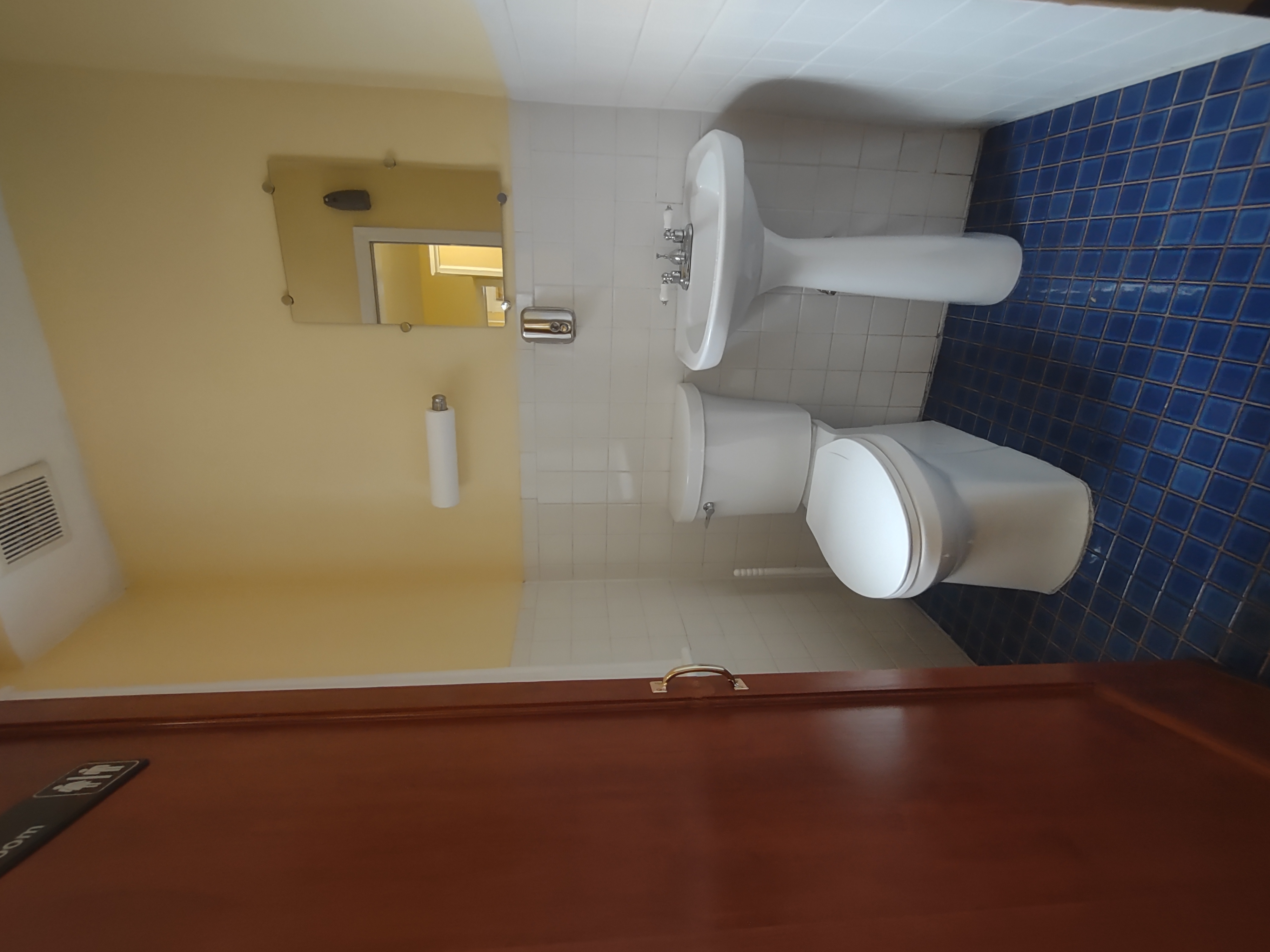 175 Fenimore Street Brooklyn, NY 11225 - Photo 11 of 11 a bathroom with a sink and a toilet