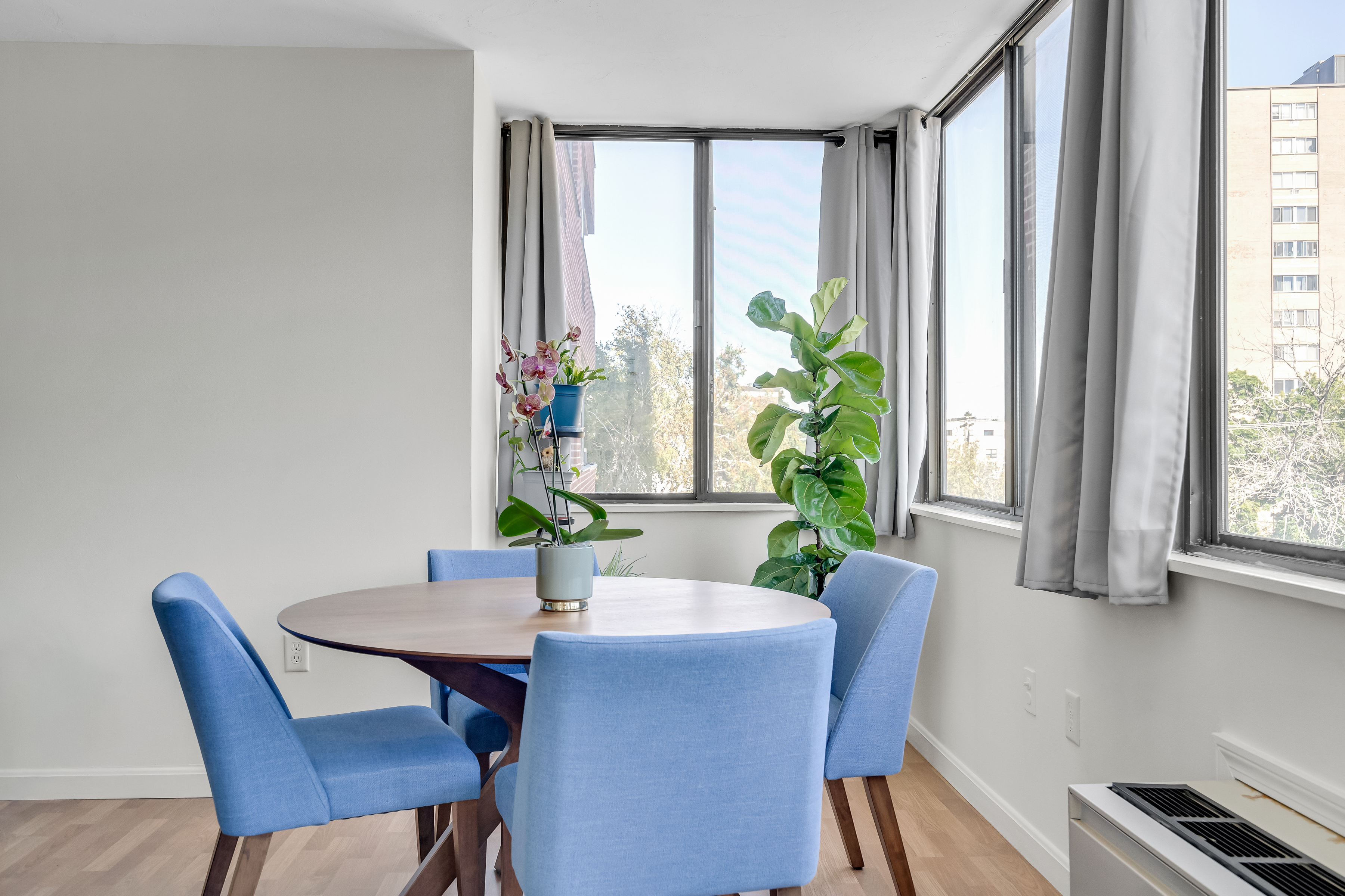 77 Adams Street, Unit 310 Quincy, MA 02169 - Photo 13 of 31 Gallery Image 13