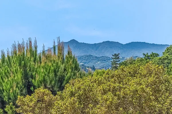 a view of a lush green hillside and a building in the background