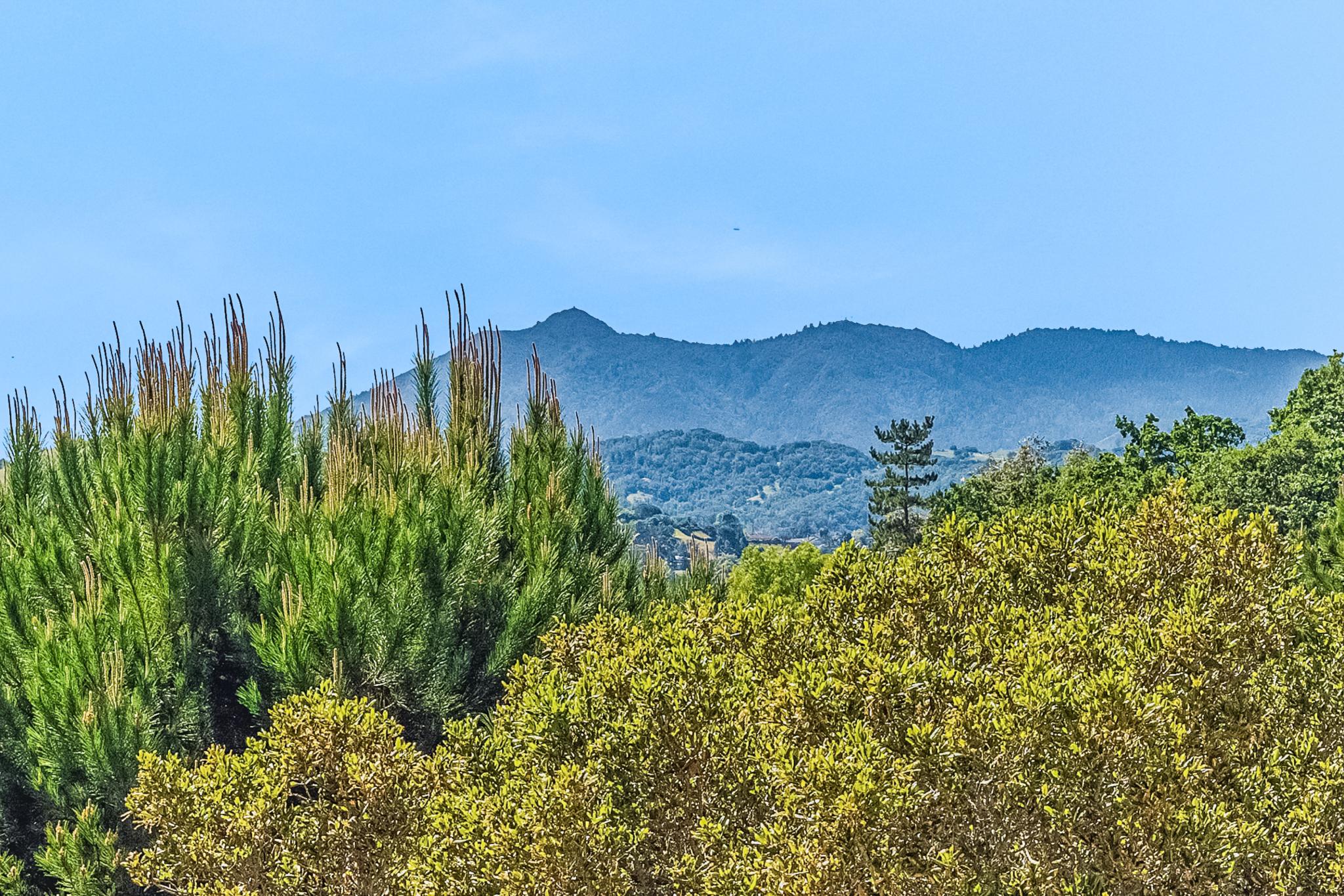 5 Heatherstone Lane San Rafael, CA 94903 - Photo 24 of 56