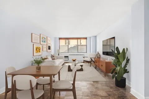 a living room with furniture and a potted plant