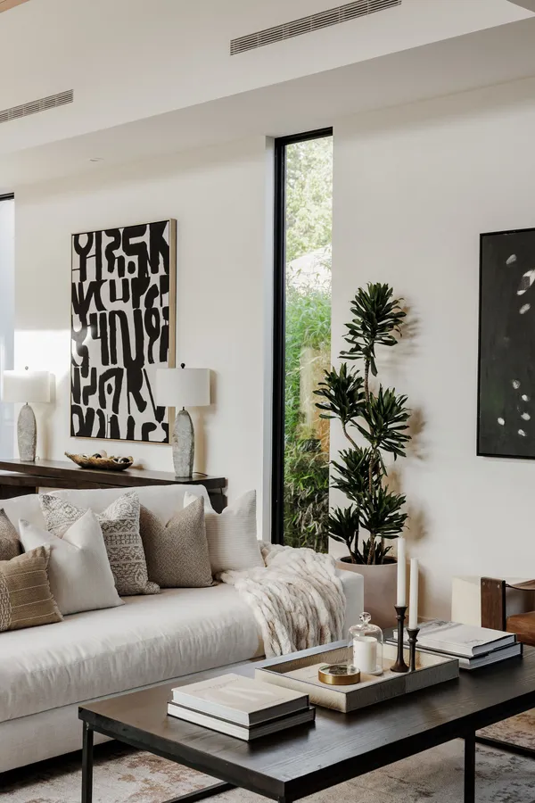 a living room with furniture and a potted plant