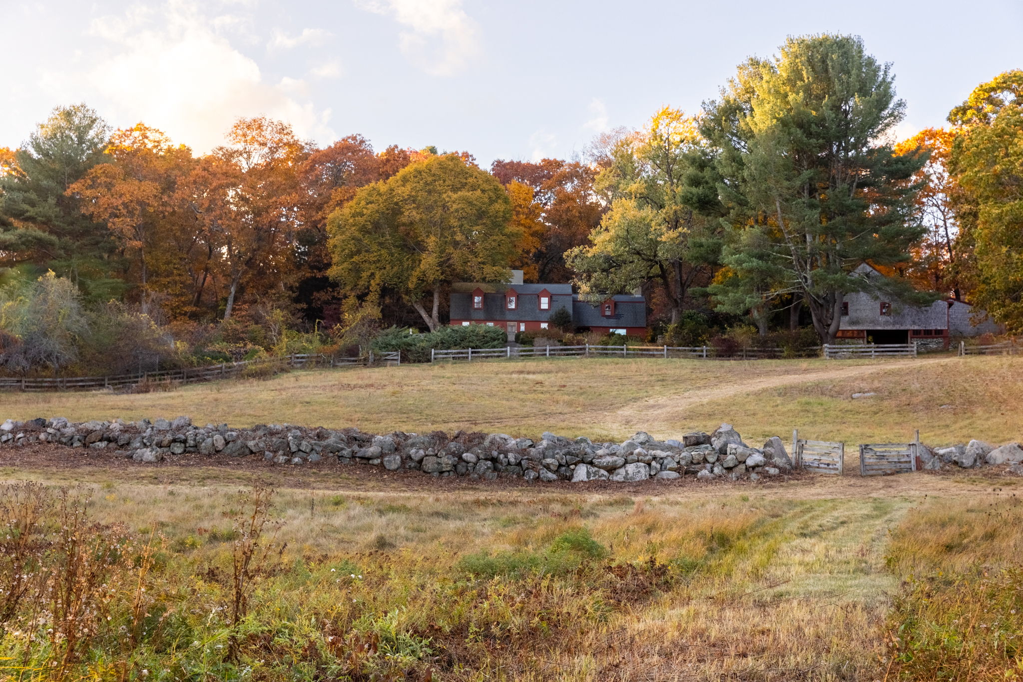 59 Conant Road Lincoln, MA 01773 - Photo 29 of 47 a view of yard with swimming pool and trees