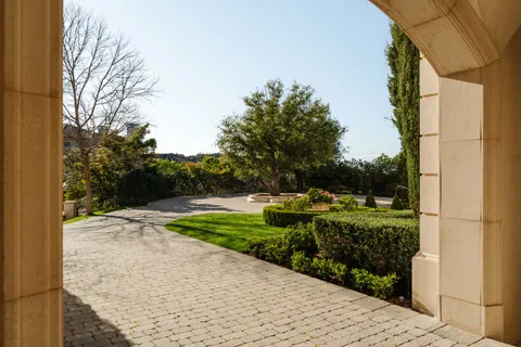 a view of a backyard with potted plants and large trees