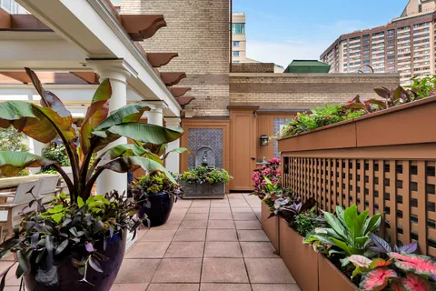 a view of a pathway with flower pots