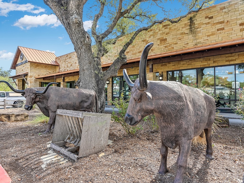 10827 Highway 290 Austin, TX 78736 - Photo 11 of 11