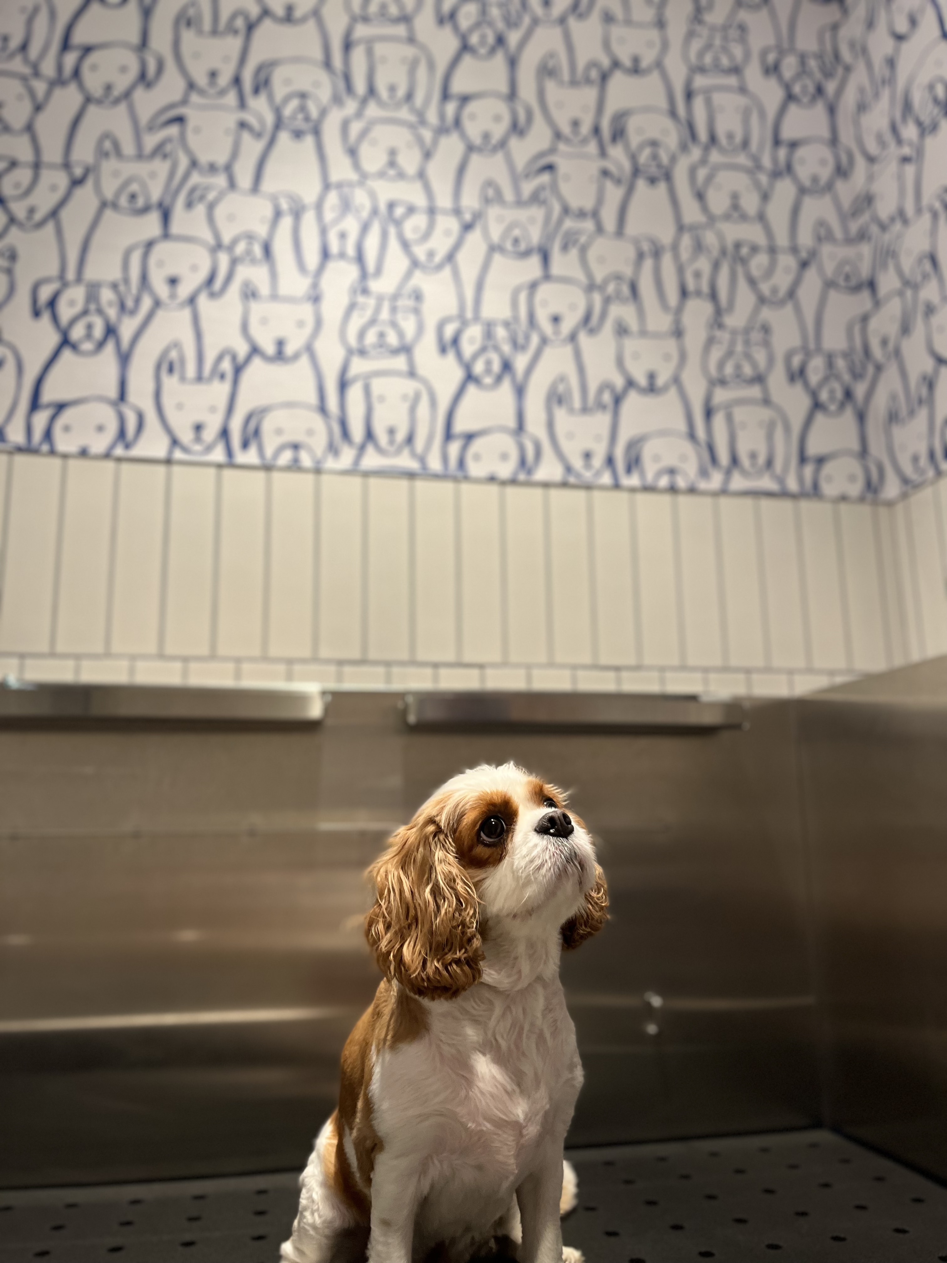 77 West 24th Street, Unit 29F Manhattan, NY 10010 - Photo 15 of 16