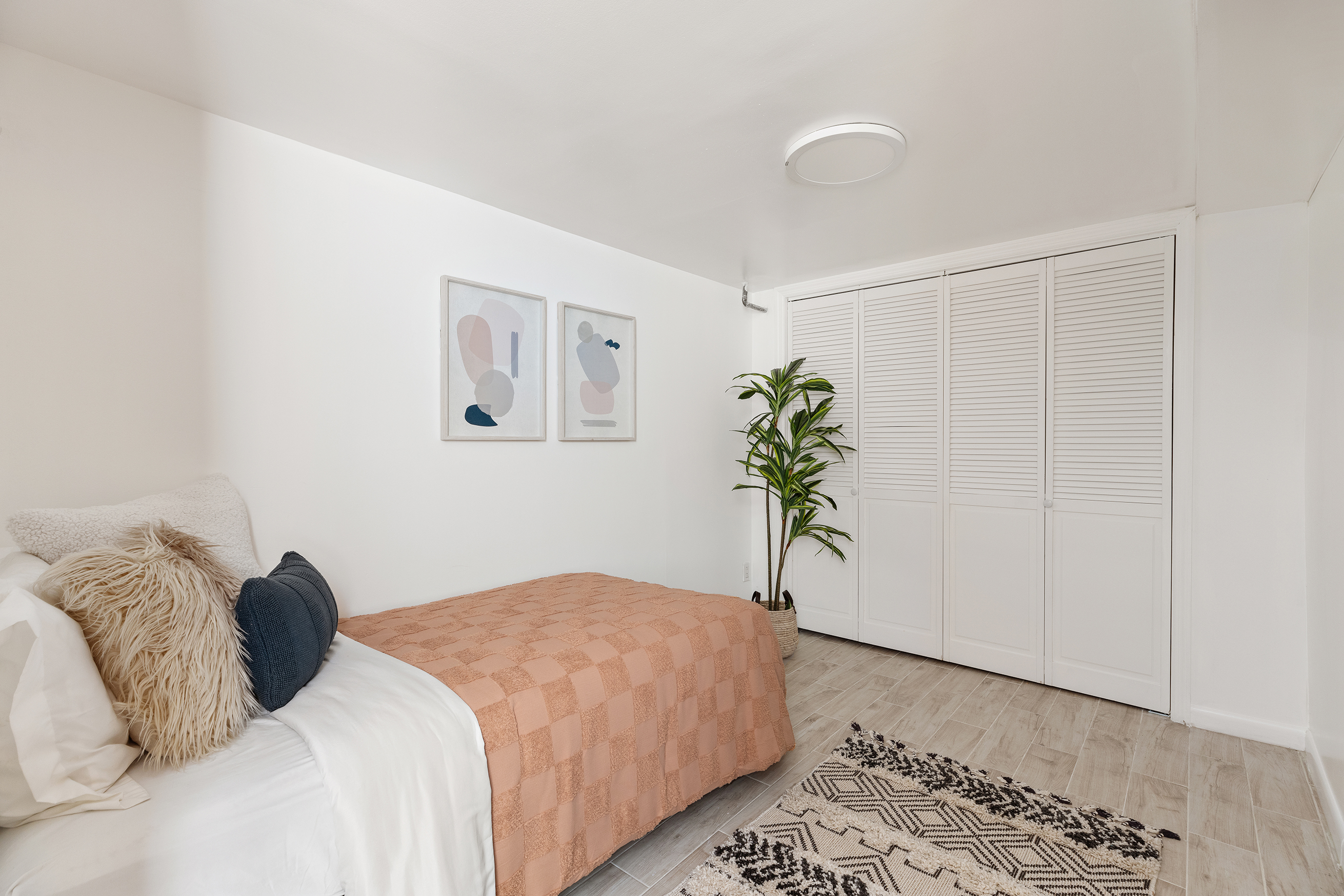 412 Classon Avenue Brooklyn, NY 11238 - Photo 12 of 30 a bedroom with a large bed and a potted plant