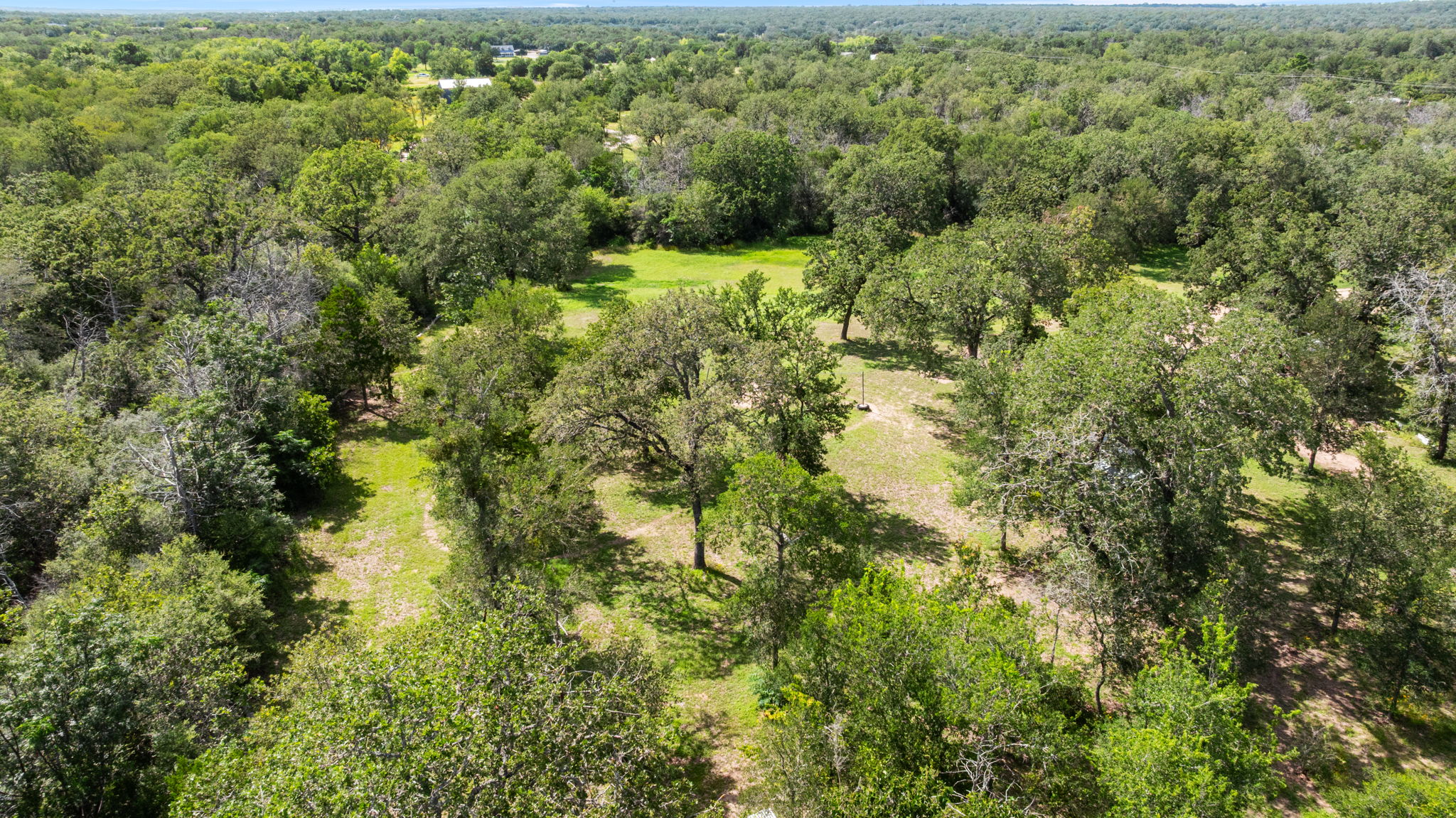 20311 Ed Acklin Road Manor, TX 78653 - Photo 10 of 42
