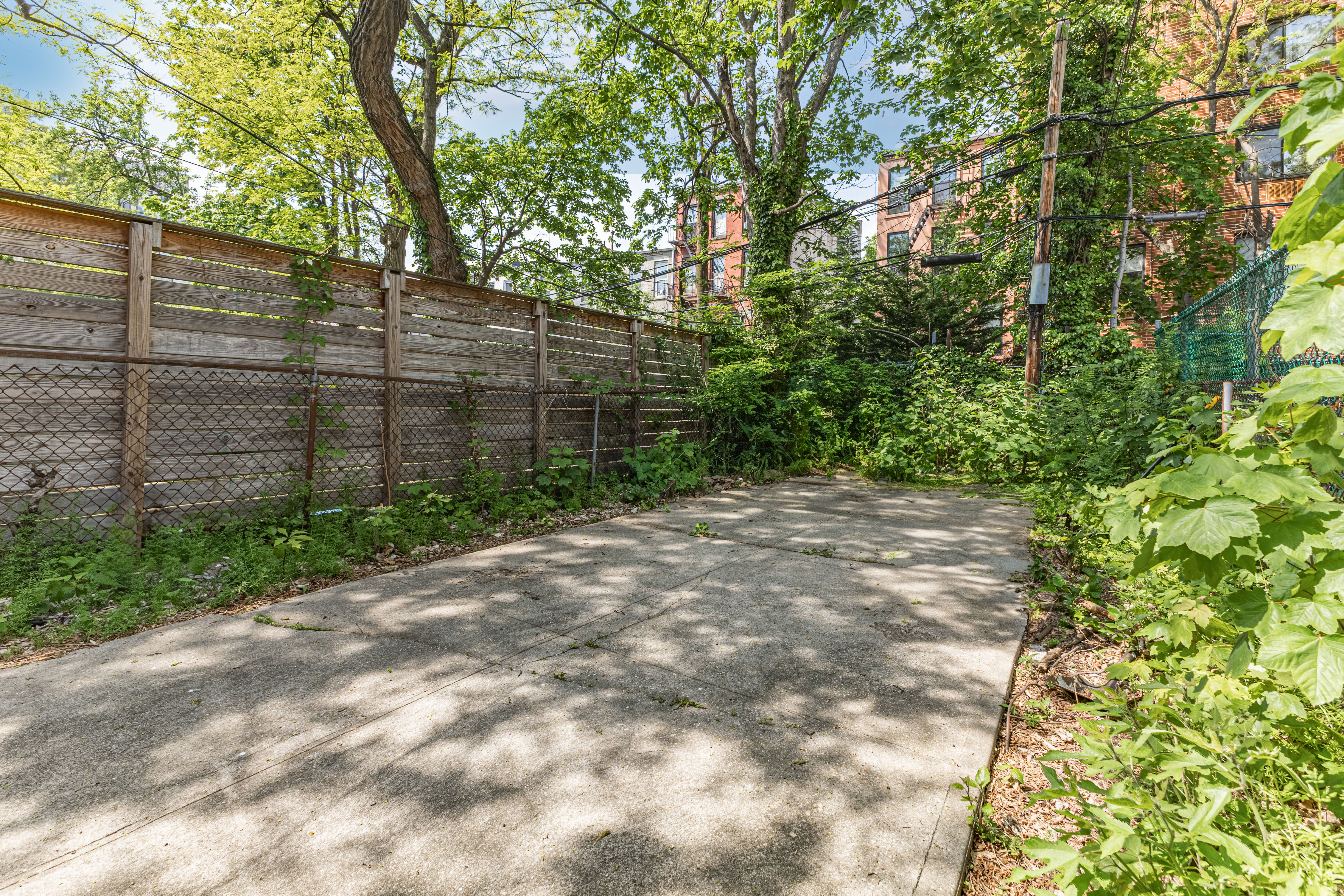 799 Willoughby Avenue Brooklyn, NY 11206 - Photo 8 of 12 a view of a yard with plants and trees
