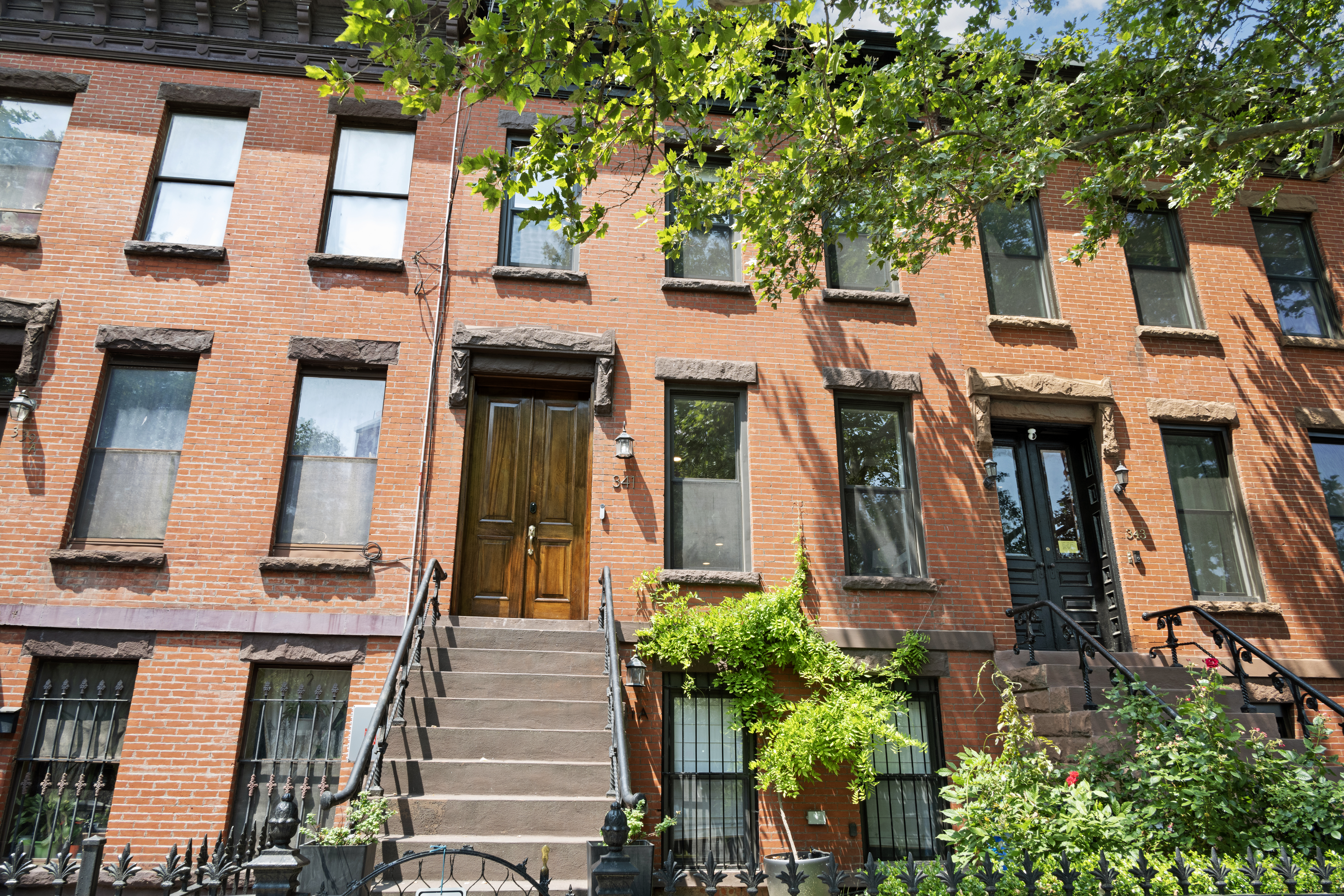 341 Bainbridge Street Brooklyn, NY 11233 - Photo 15 of 16 Gallery Image 15