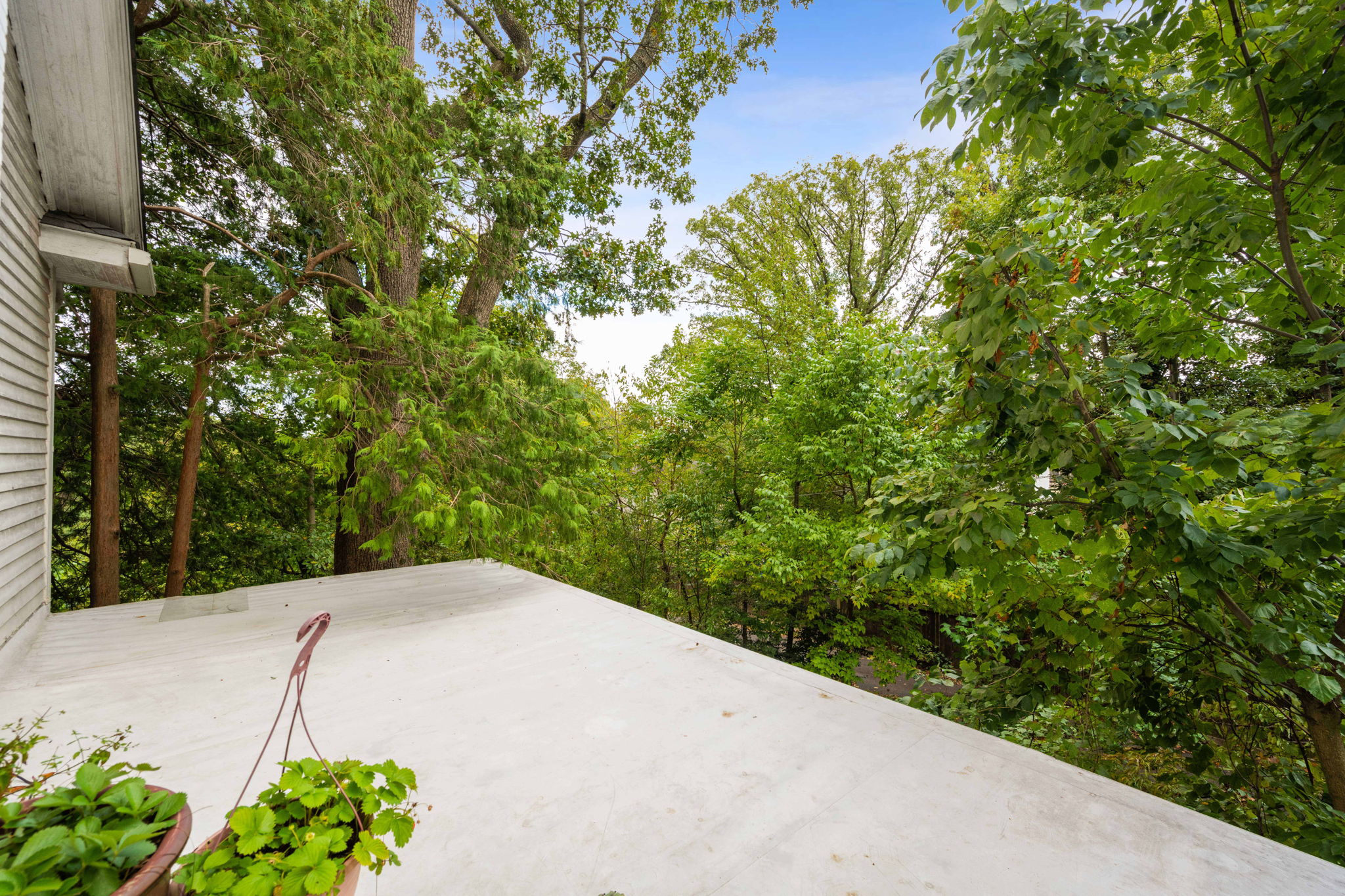 3104 Russell Road Alexandria, VA 22305 - Photo 23 of 62 a backyard of a house with lots of green space