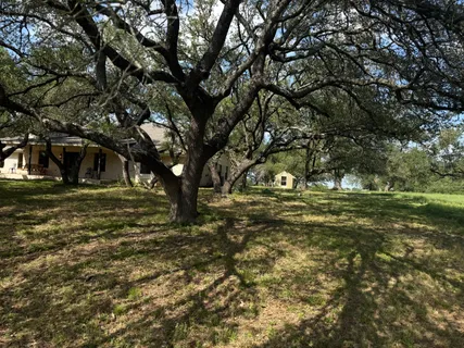 a view of a tree in front of a house