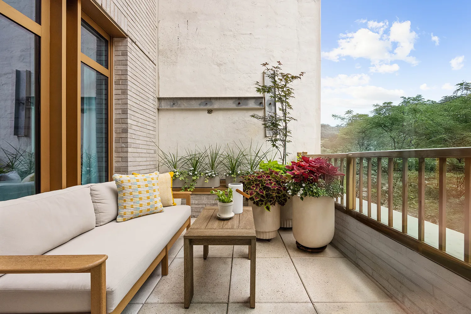 a view of a patio with a potted plant
