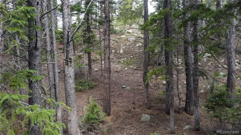 $65,000 | 0 Brook Drive, Idaho Springs, CO 80452