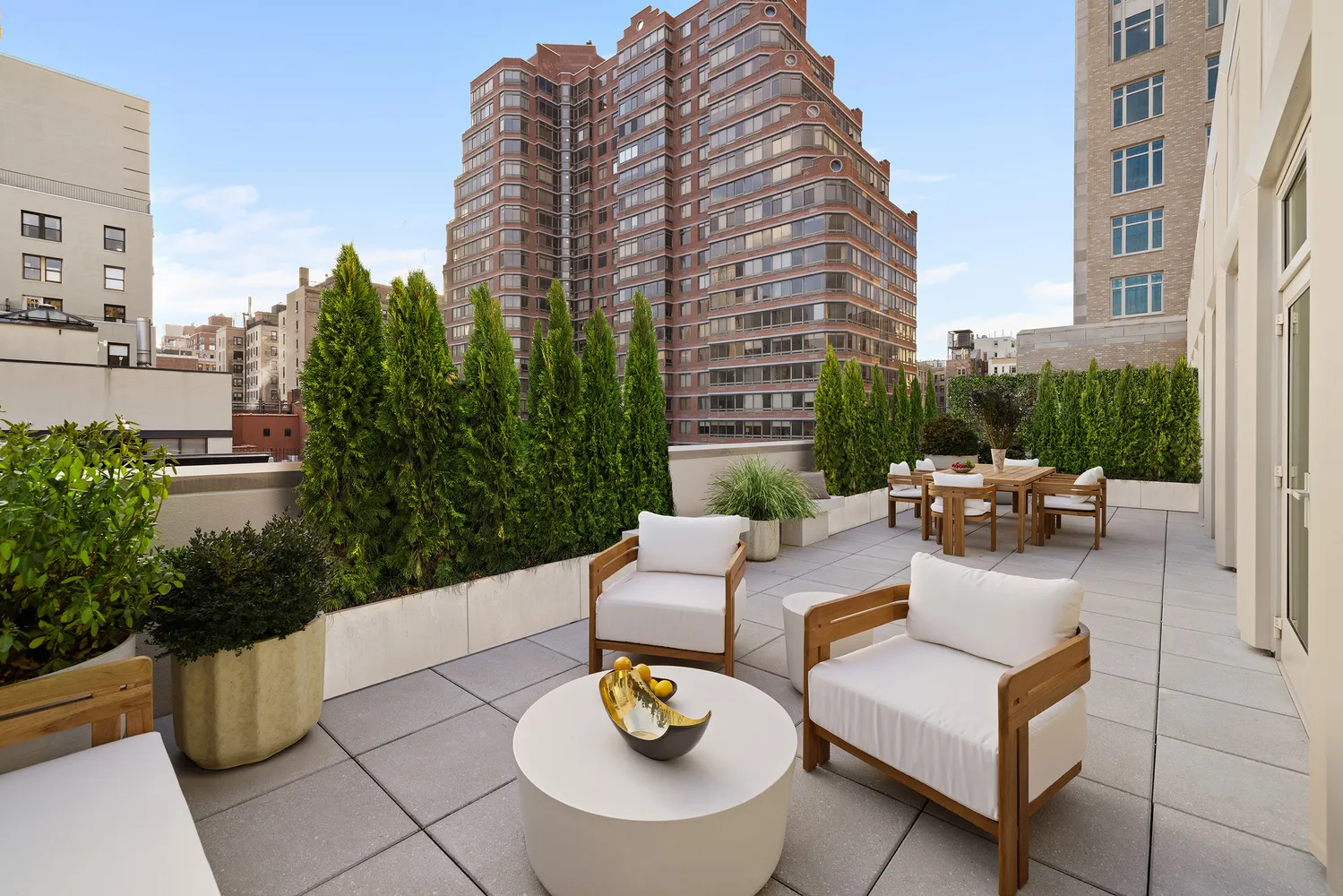 a view of a patio with couches and a potted plant on a table