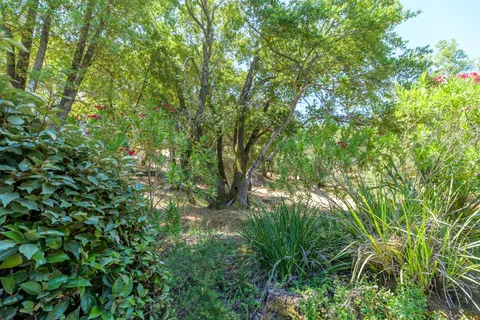 $879,000 | 8 Elf Owl Court, Novato, CA 94949