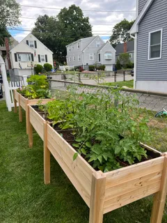 Contact Agent | Vogel Street, Boston, MA 02132