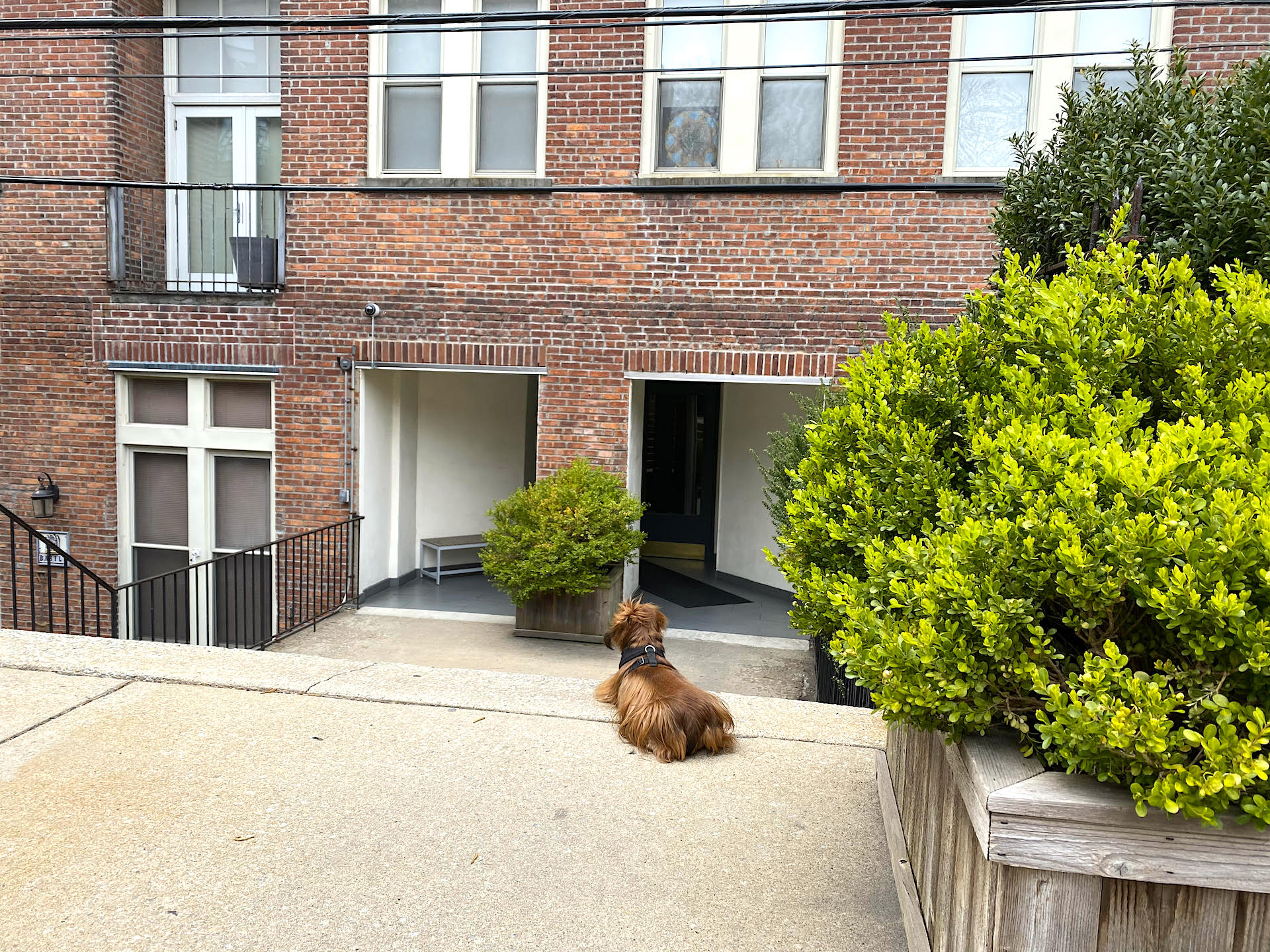 44 Cheever Place, Unit 107 Brooklyn, NY 11231 - Photo 15 of 19