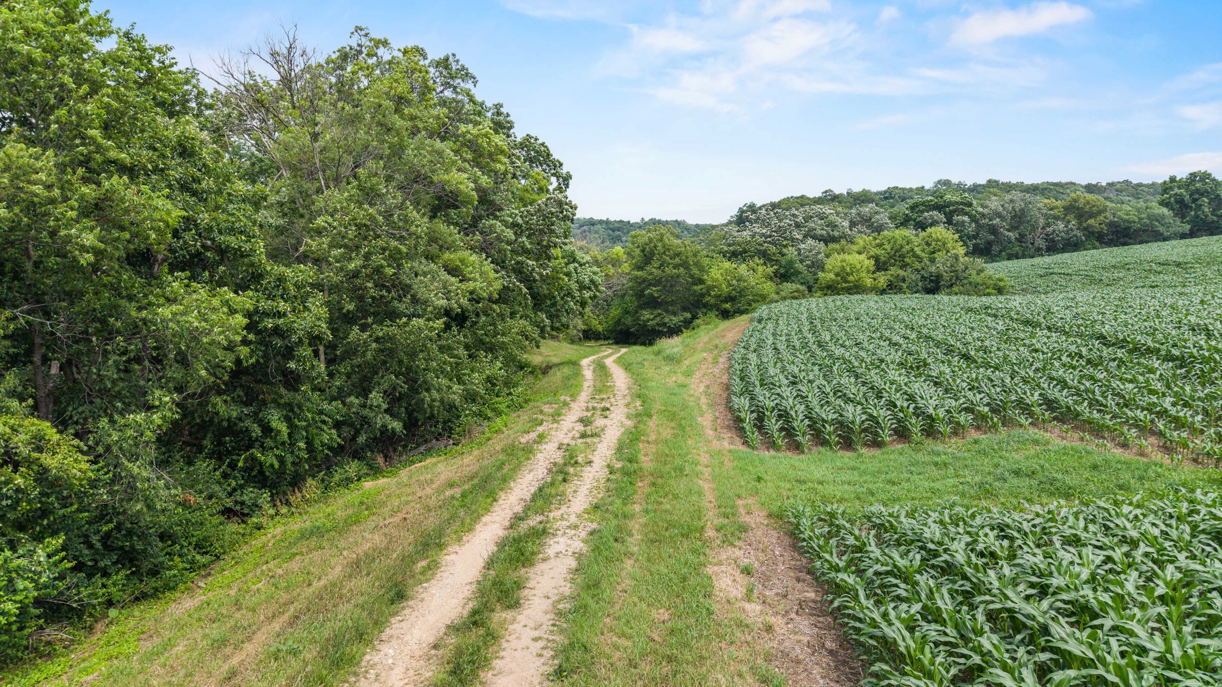 146 /- Acres Otto Kerl Road Cross Plains, WI 53528 - Photo 19 of 20