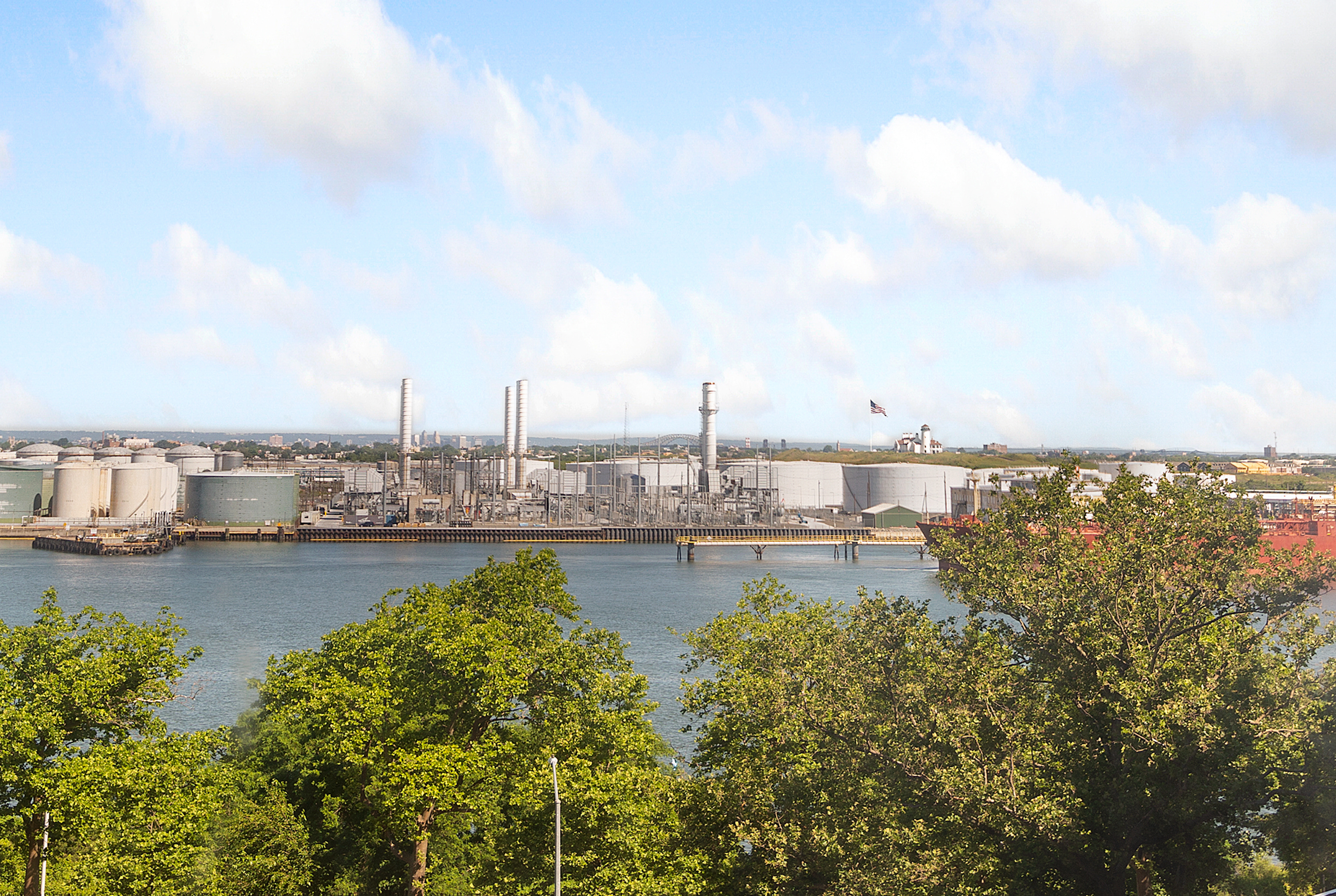 9 Carroll Place Staten Island, NY 10301 - Photo 3 of 20