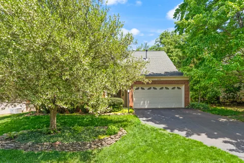 a view of a yard with plants and a large tree